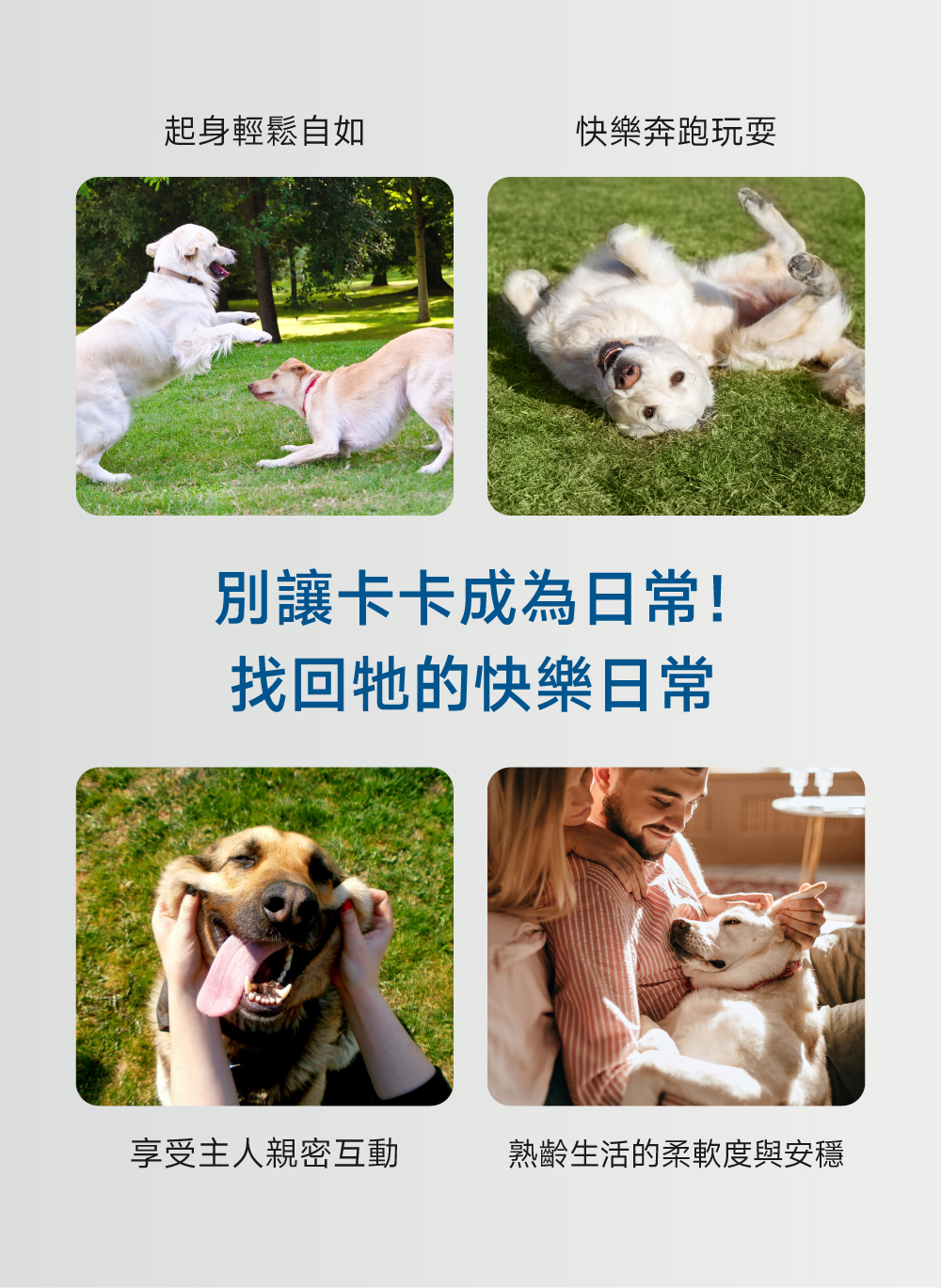 沛威專效保健狗用顧關節輕鬆跑跳無負擔