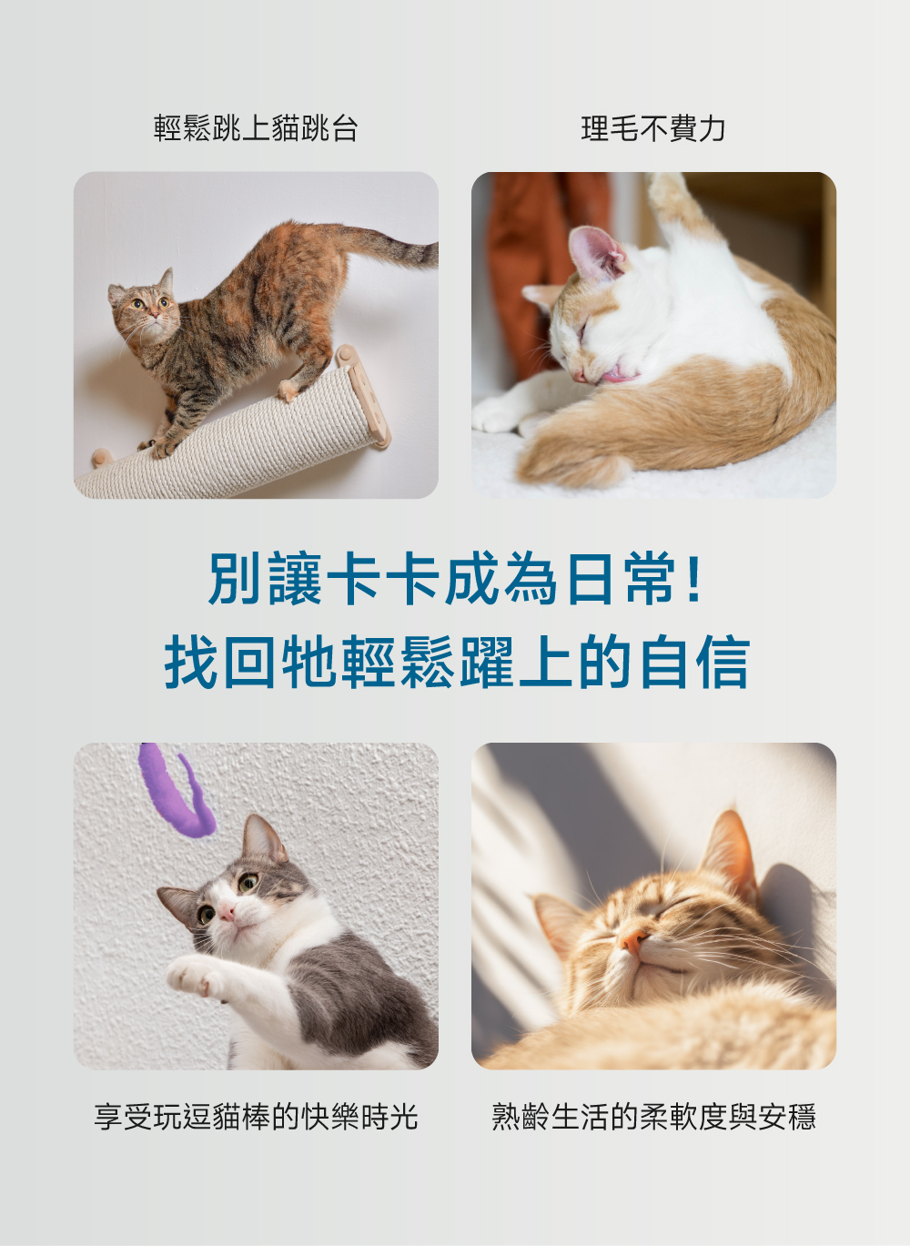 沛威專效保健貓用顧關節輕鬆跳躍