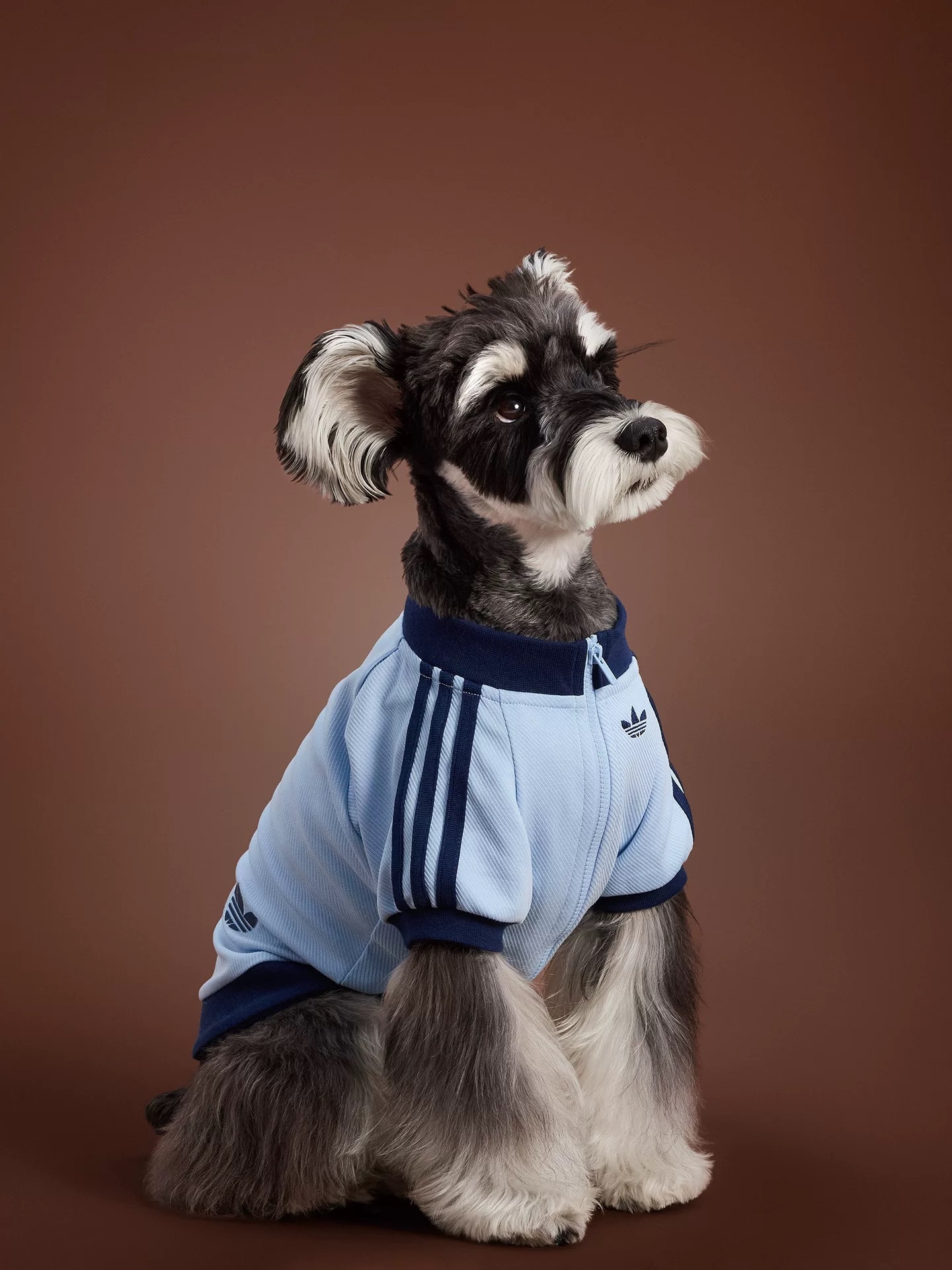 #代購 ADIDAS 三葉草 寵物經典針織拉鍊外套 四色