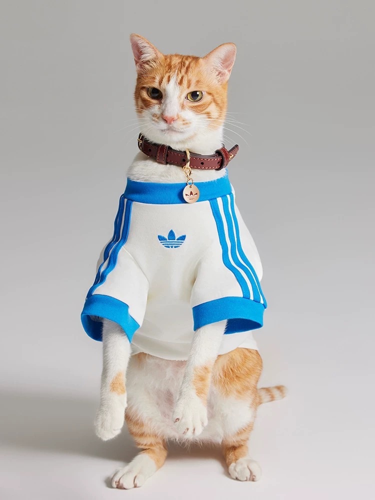 #代購 ADIDAS 三葉草 寵物經典LOGO 刺繡大學踢 四色