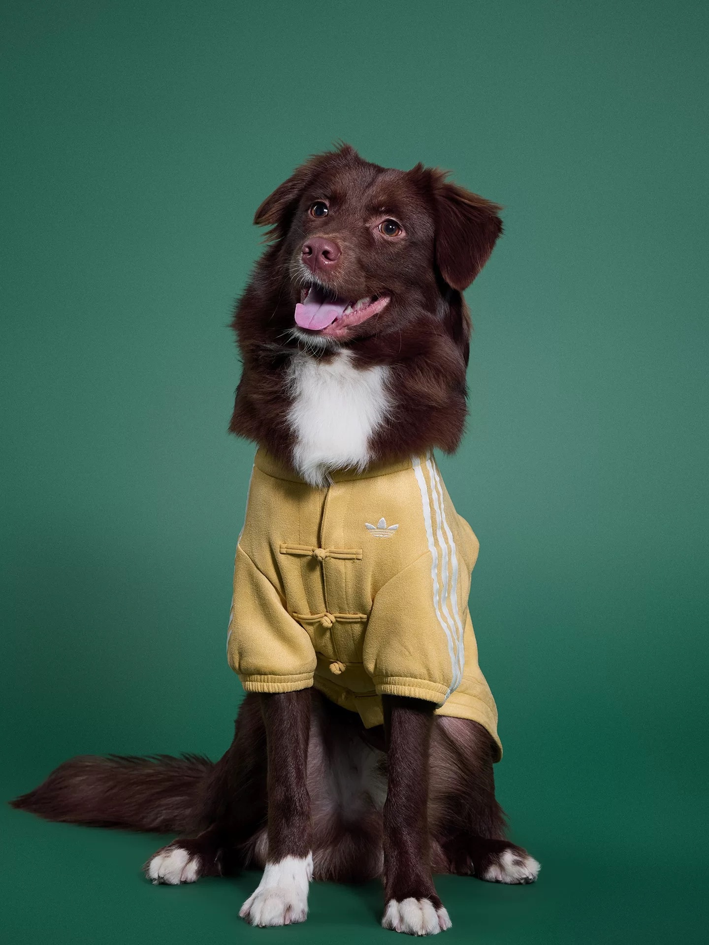 #代購 ADIDAS 三葉草 新年款 寵物保暖外套 兩色