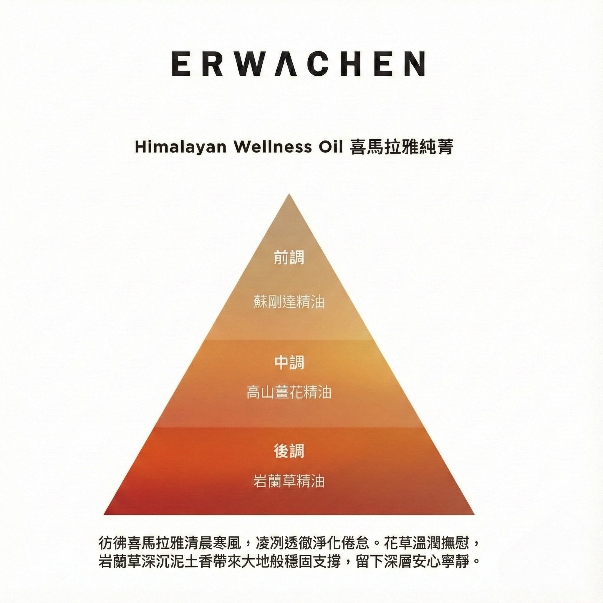 喜馬拉雅純菁香氣結構