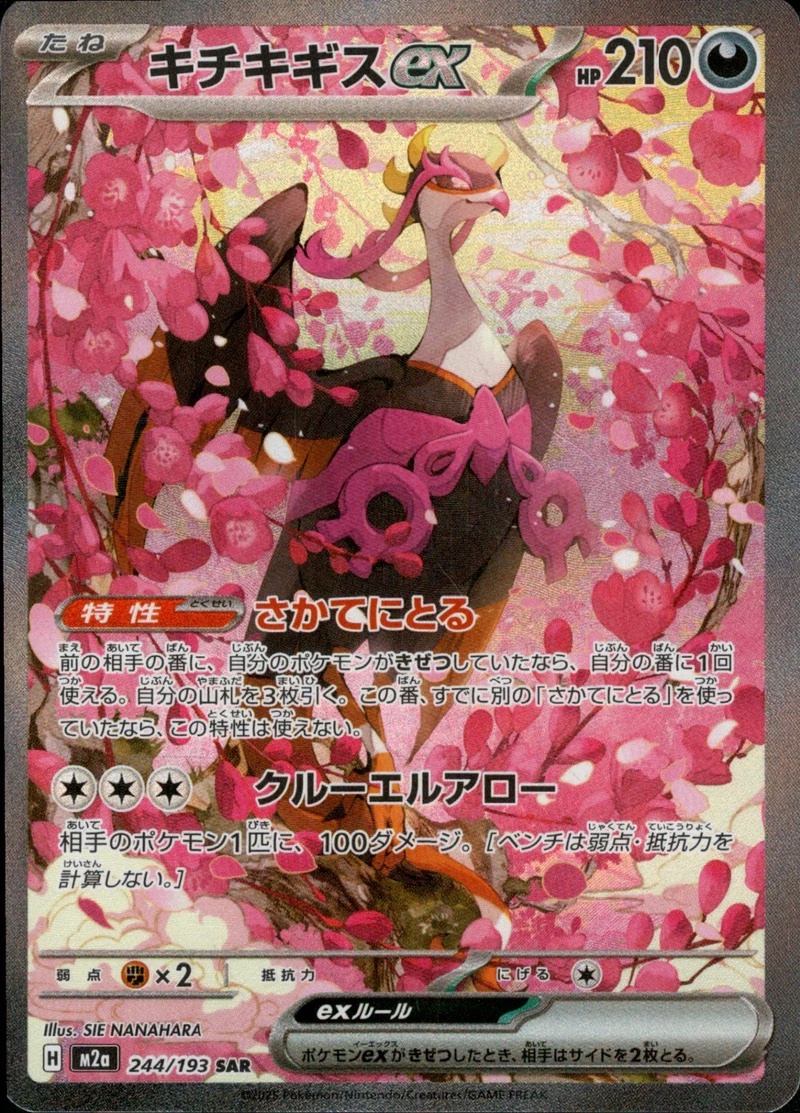 【M2a 244／193 SAR】キチキギスex