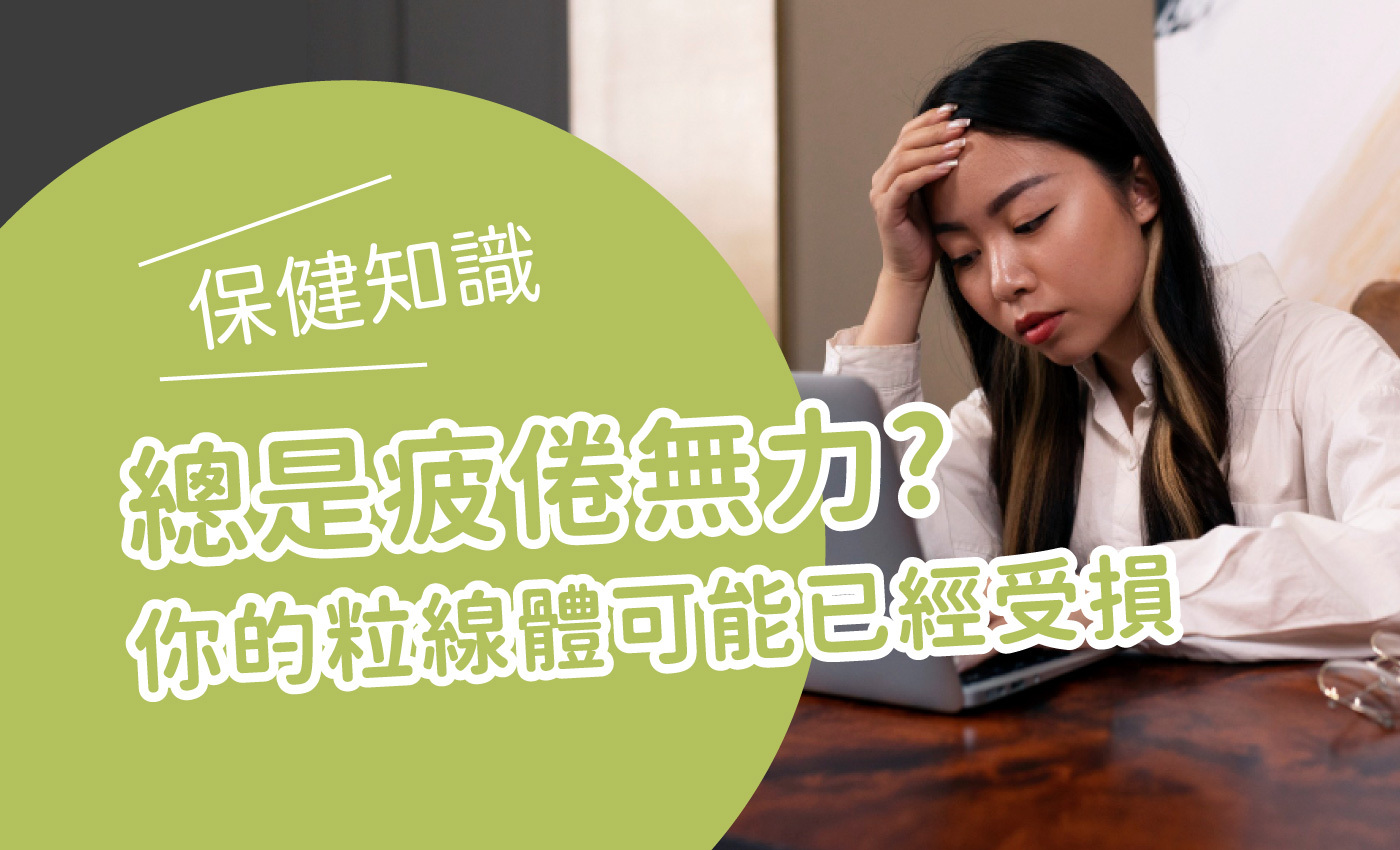 一個女生疲憊無力地看著電腦，旁邊文字描述著總是疲倦無力?你的粒線體可能已經受損