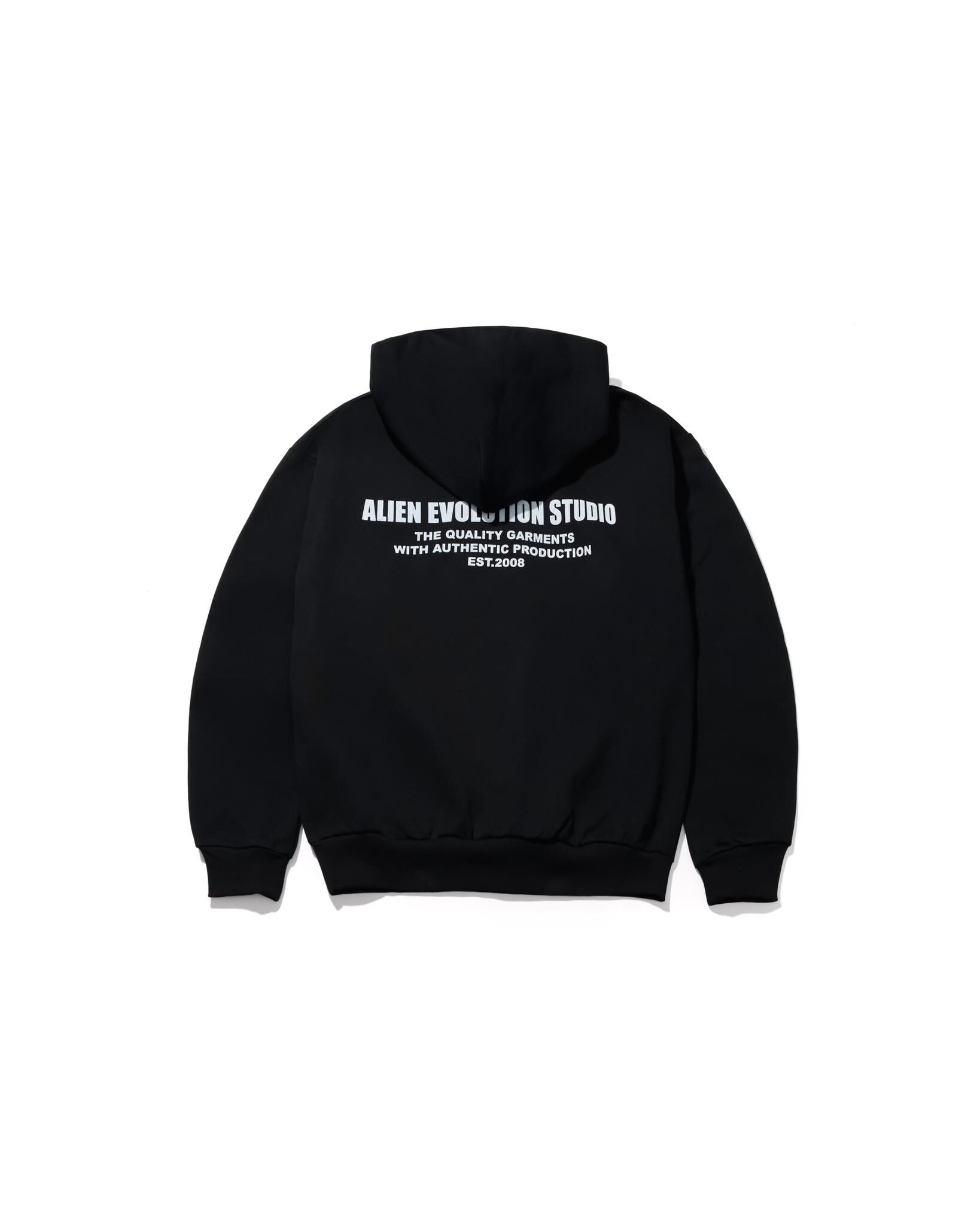 AES EMBROIDERED SKULL LOGO HOODIE