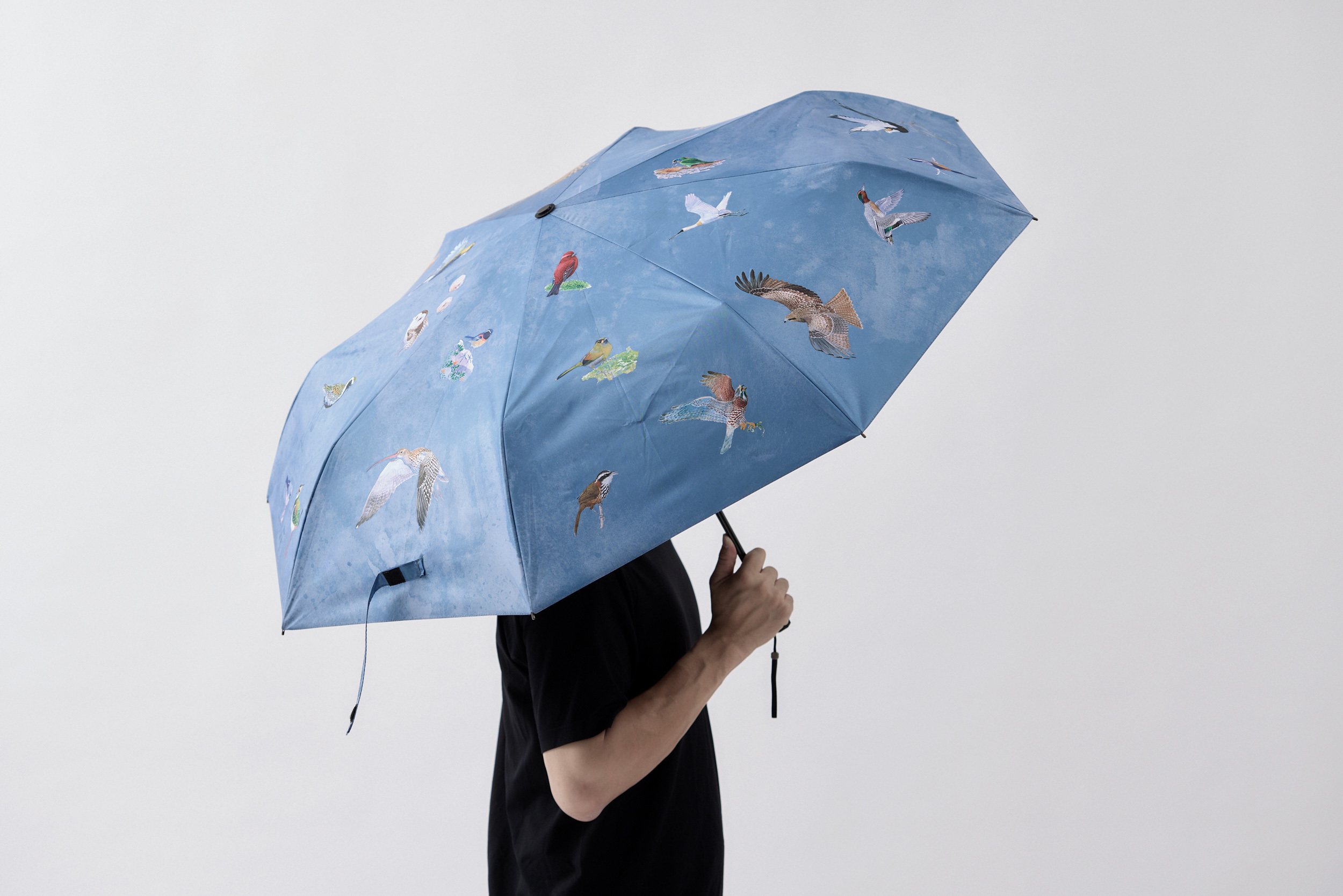台灣野鳥系列周邊-飛羽傘系列(黃/藍)