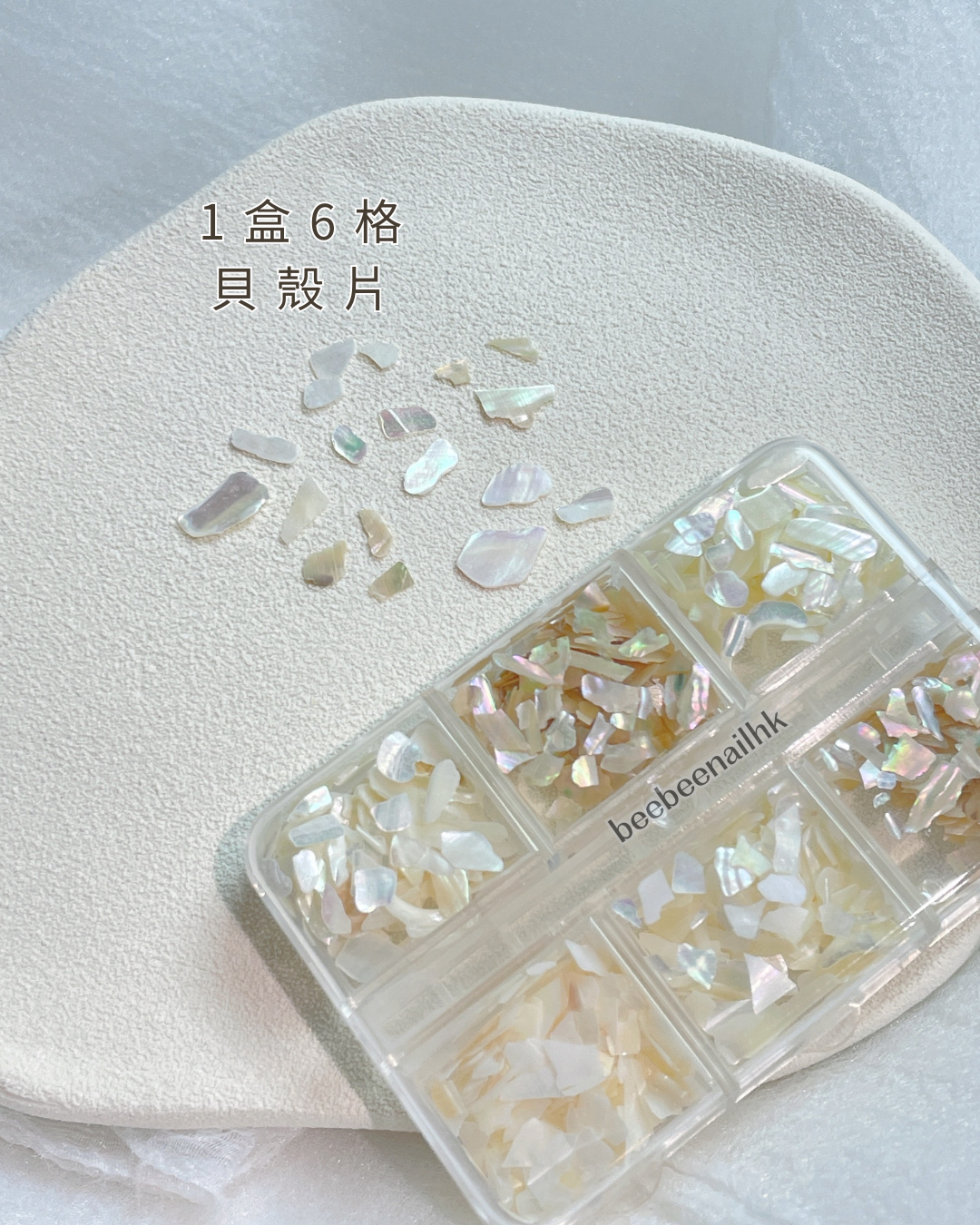 不規則 貝殼片 -1盒6格