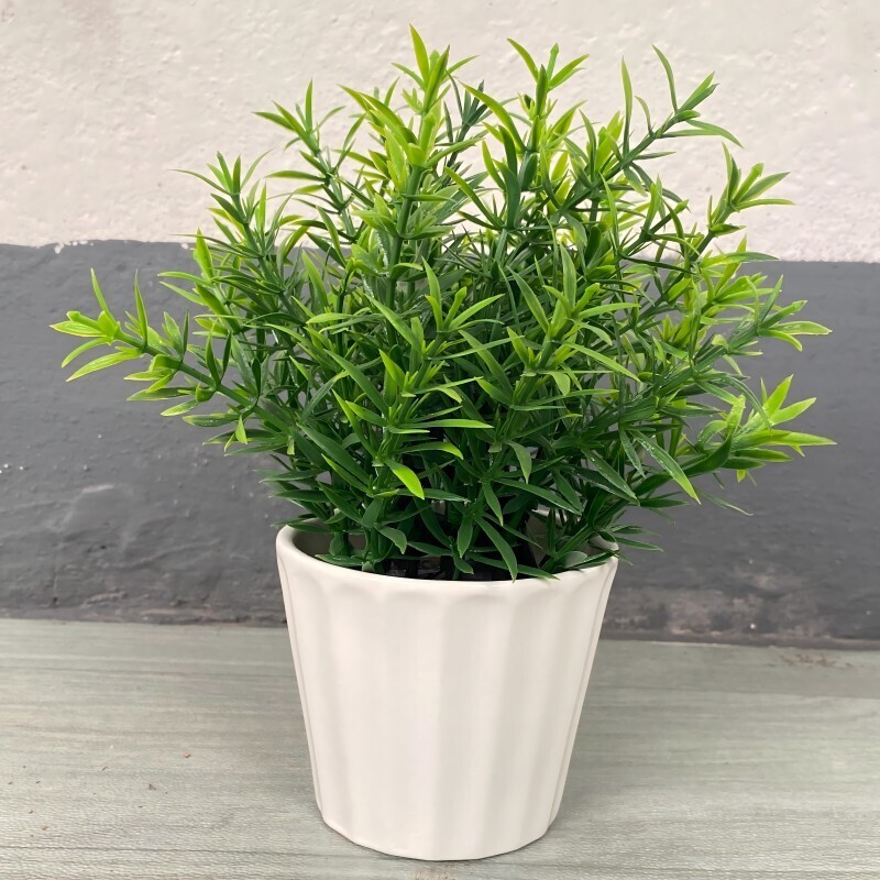 花盆/白 8×8×7.5cm