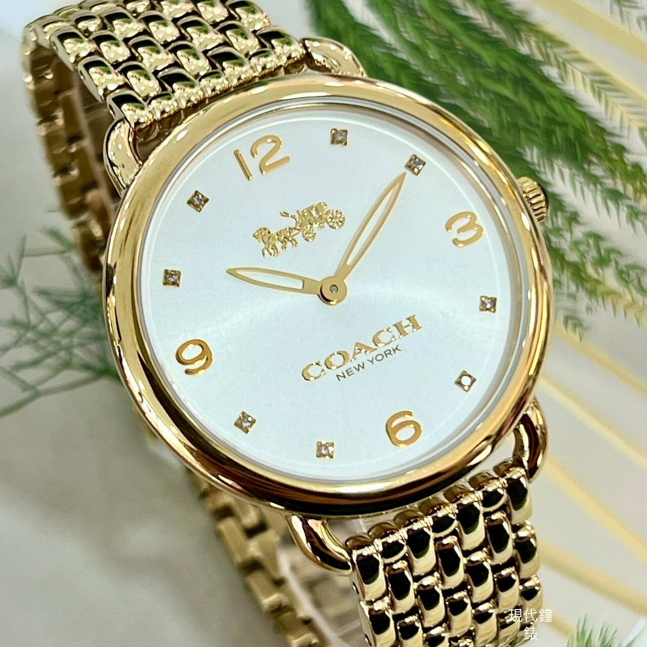 【Coach】經典馬車薄型香檳金腕錶 CO14502786 36mm現代鐘錶
