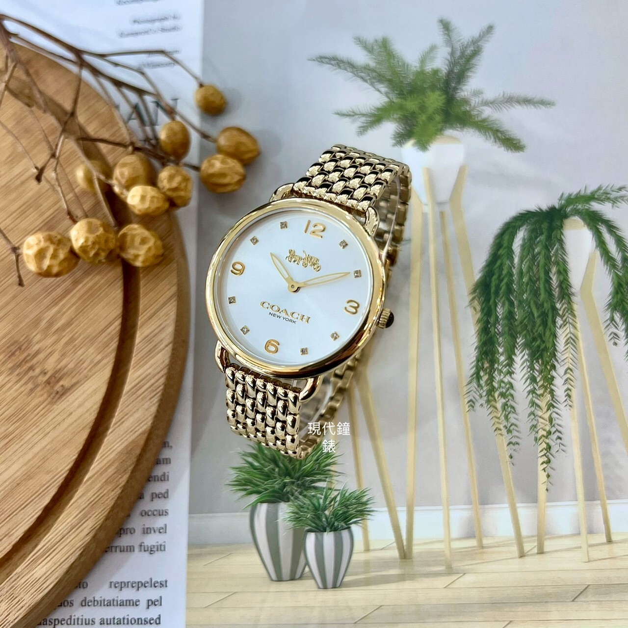 【Coach】經典馬車薄型香檳金腕錶 CO14502786 36mm現代鐘錶