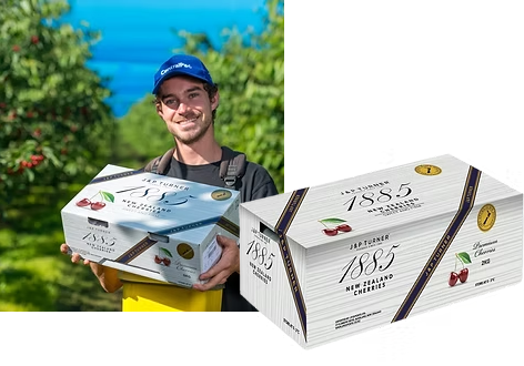 紐西蘭 1885 車厘子 32+ [2KG 盒裝]