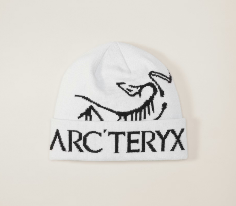 【代購】𝐀𝐫𝐜'𝐭𝐞𝐫𝐲𝐱 始祖鳥 𝐁𝐢𝐫𝐝 𝐋𝐨𝐠𝐨 絨線帽｜再生聚酯纖維 保暖針織帽 𝐎𝐫𝐜𝐚 灰白色 𝐗𝟎𝟎𝟎𝟎𝟏𝟎𝟎𝟔𝟓
