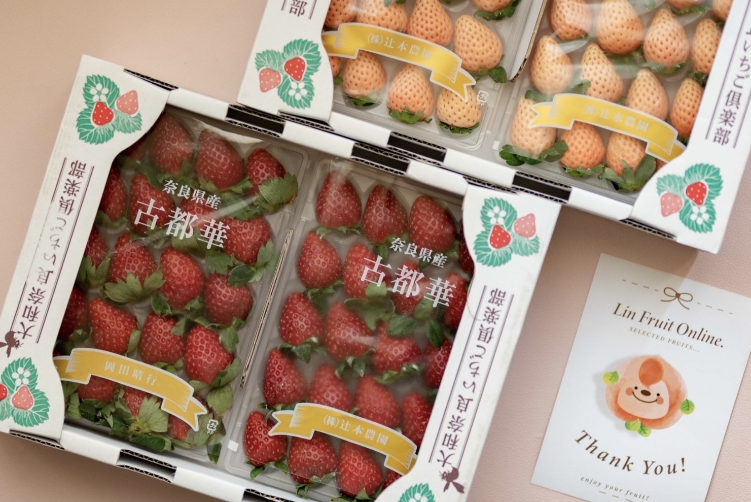 日本古都華紅草莓