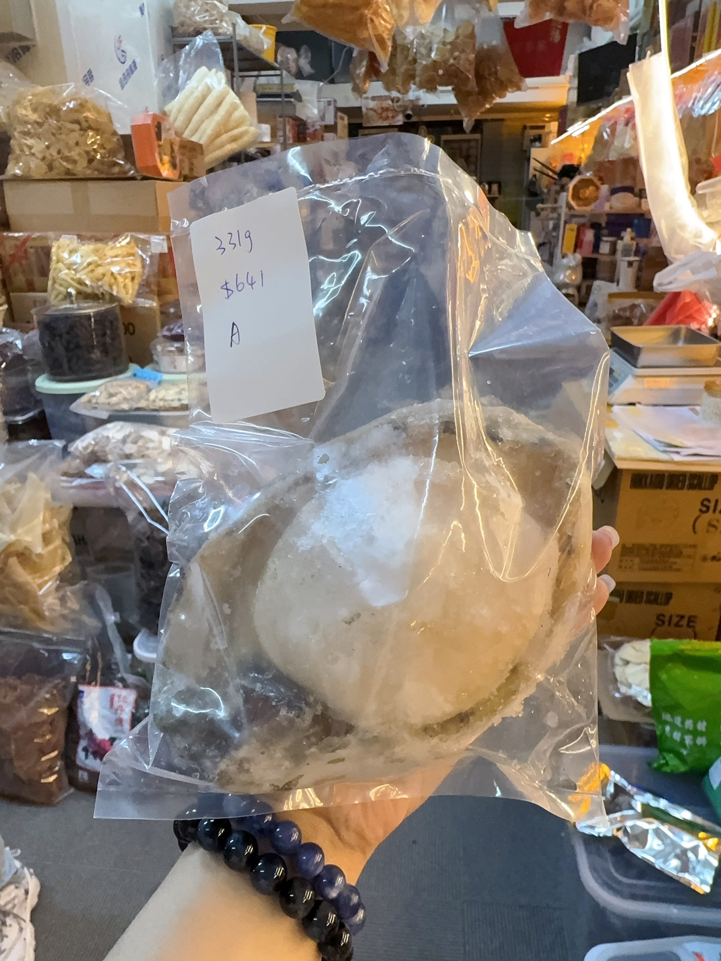 z249   澳洲青邊鮑魚  勁大隻