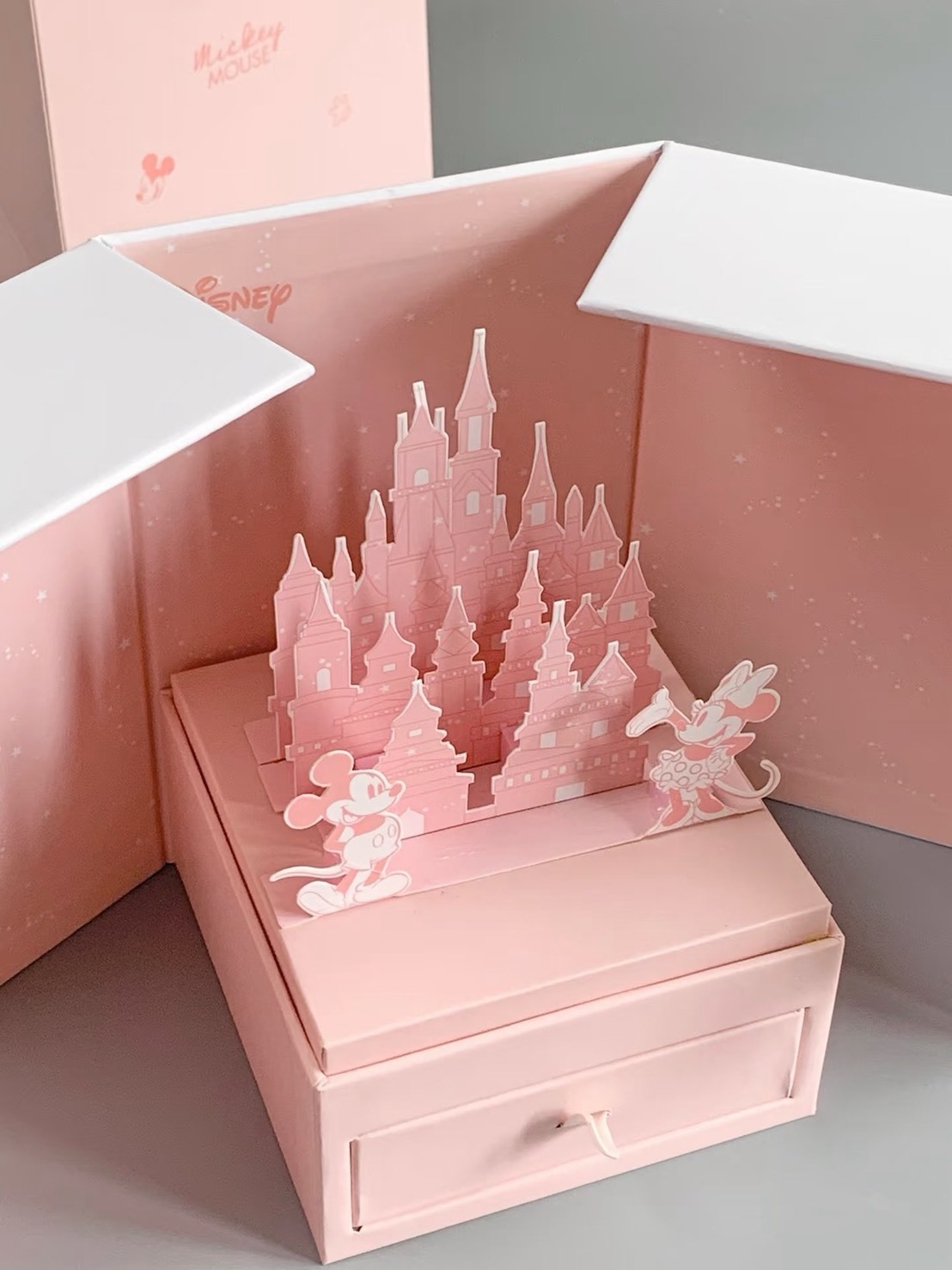 【預購】Disney 迪士尼官方正品 公主系列 S925 花蝶之約 城堡禮盒 飾品 項鍊 手鍊