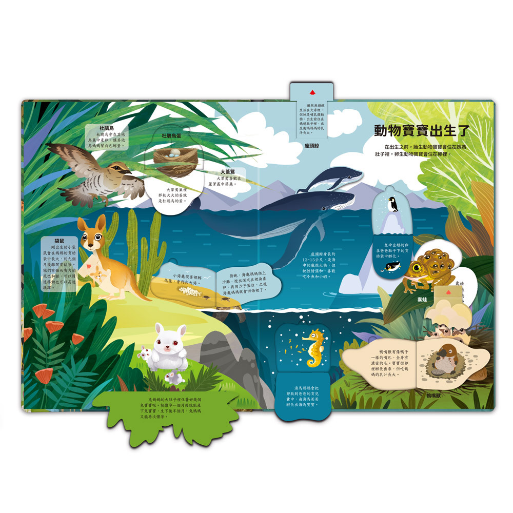 神奇的動物百科立體翻翻書