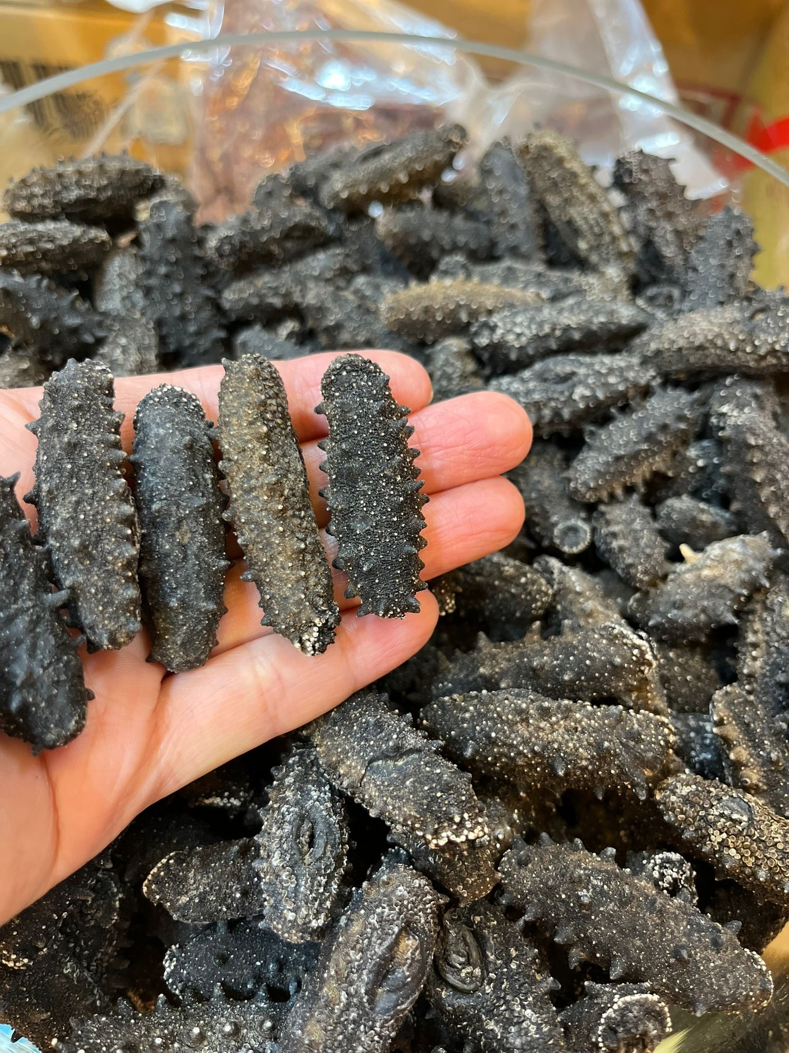 Z239 日本青森海參75g,約有12-14支 $439