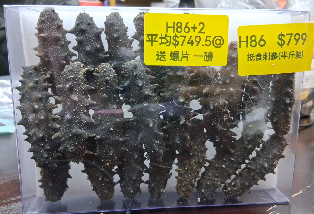 AB260102-H86-抵食刺參(半斤裝)