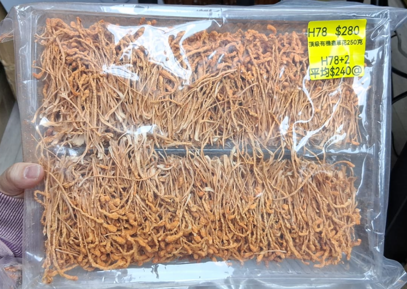 AB260102-H78-頂級有機蟲草花250克