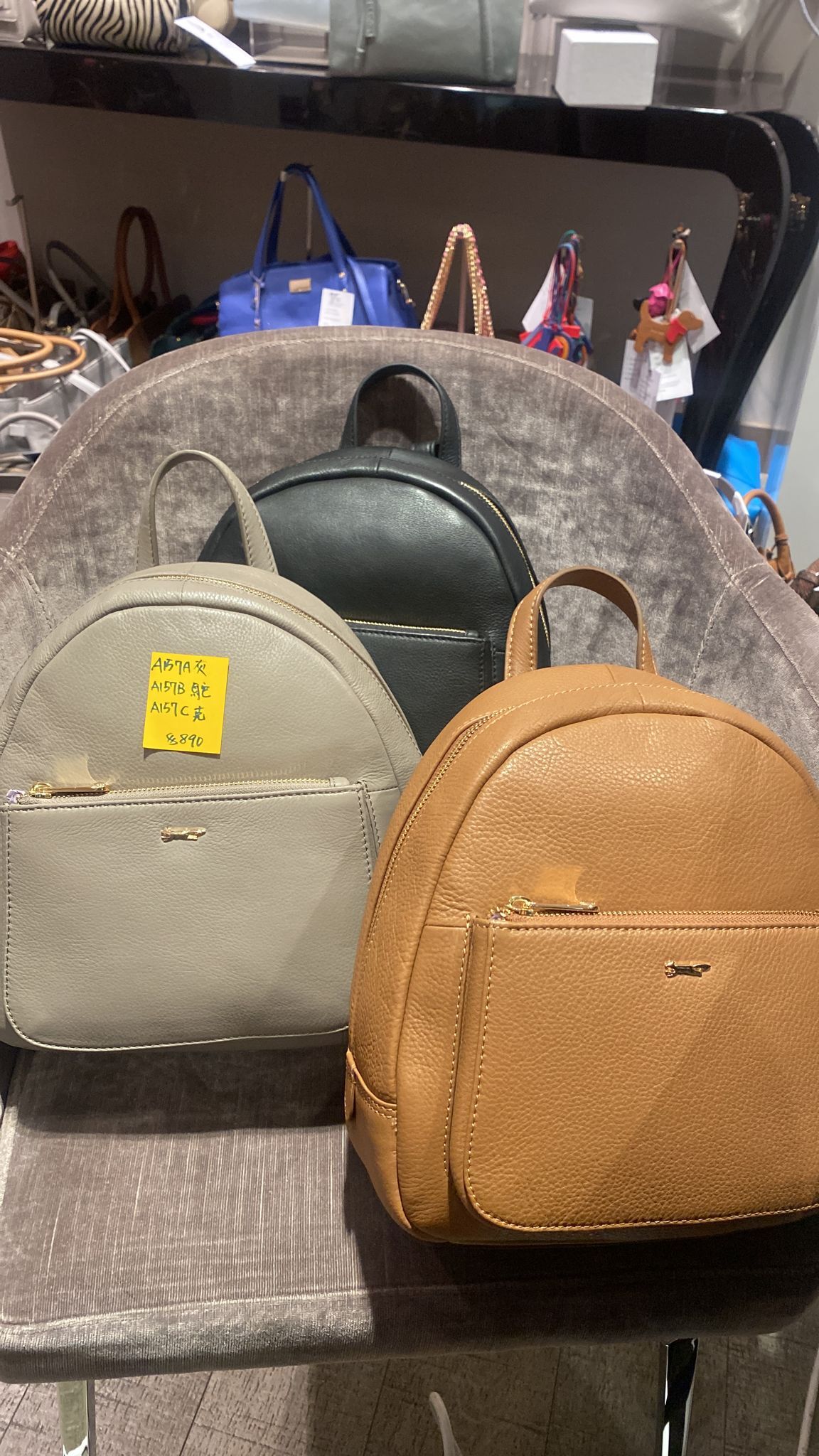 英國代購 -Paul Costelloe A157