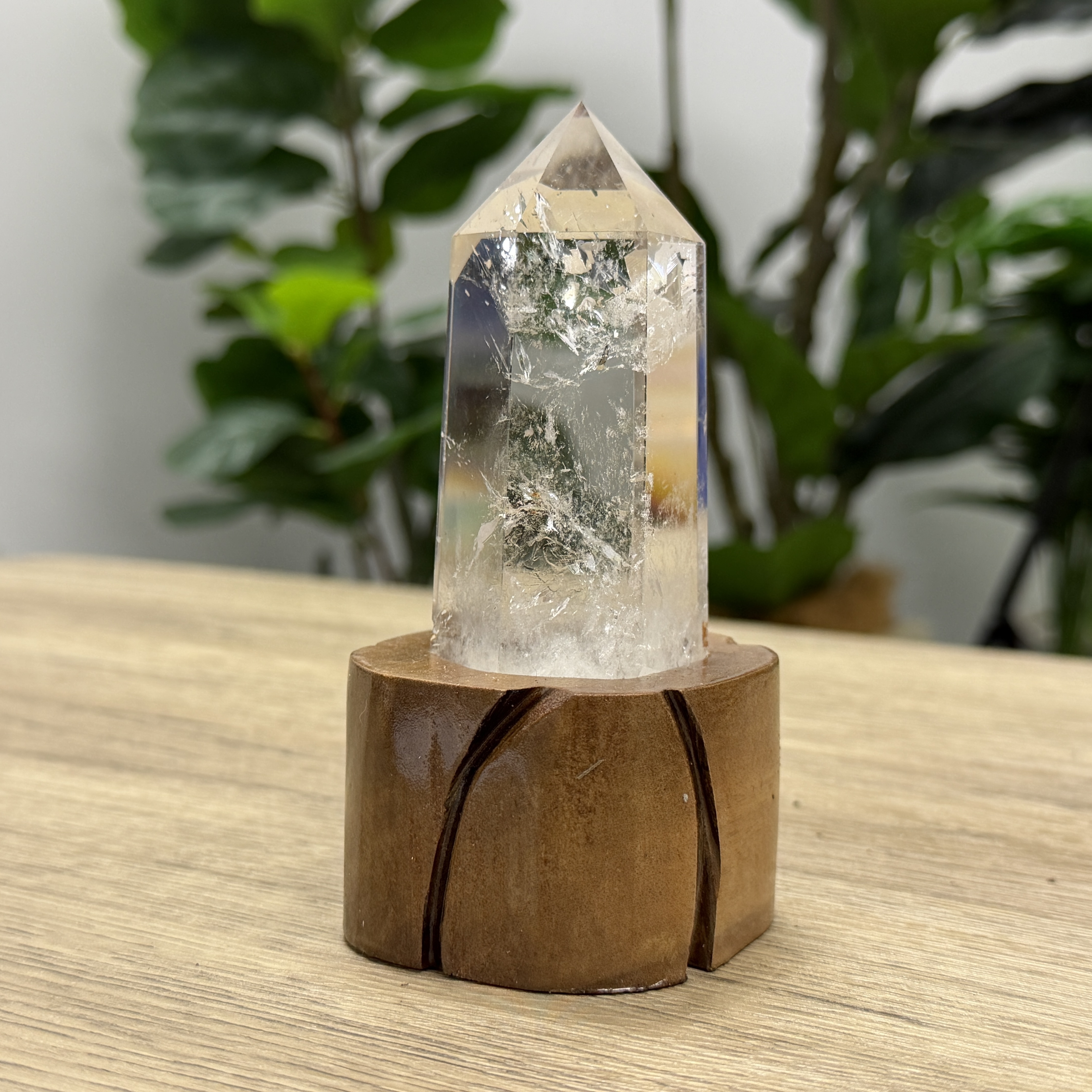 白晶柱 手圍13.5以上 WD2192