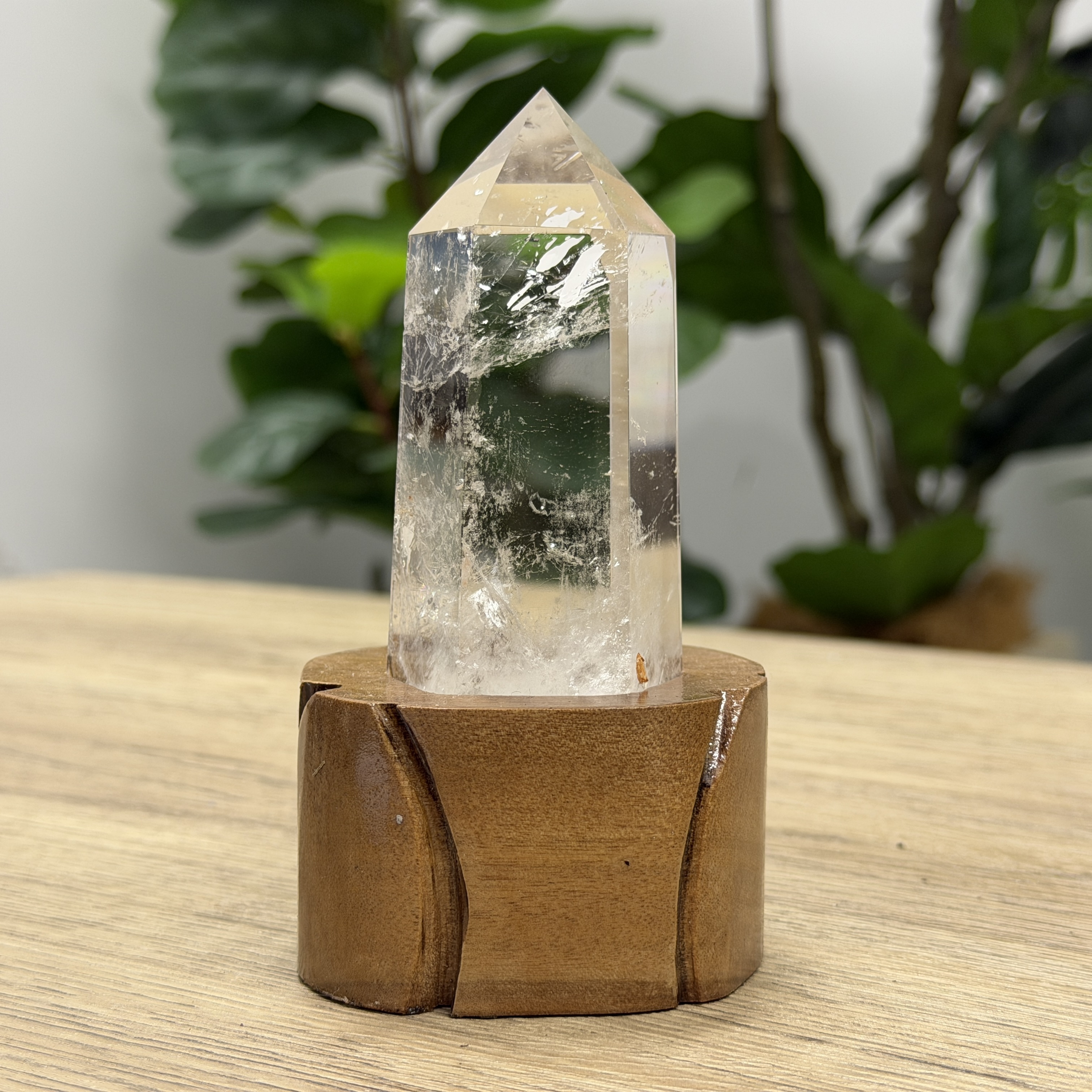 白晶柱 手圍13.5以上 WD2192