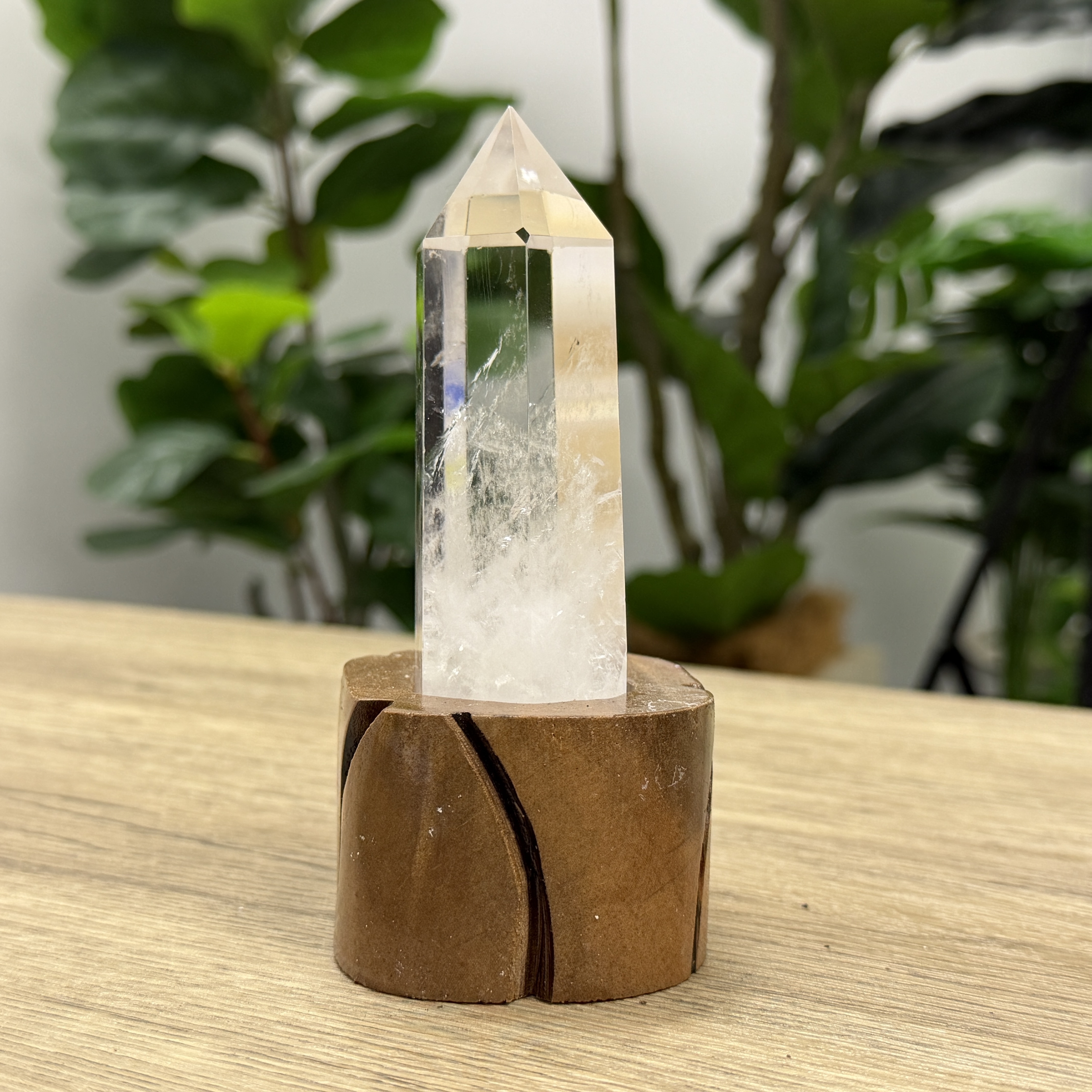 白晶柱 手圍12.5以上 WD2193