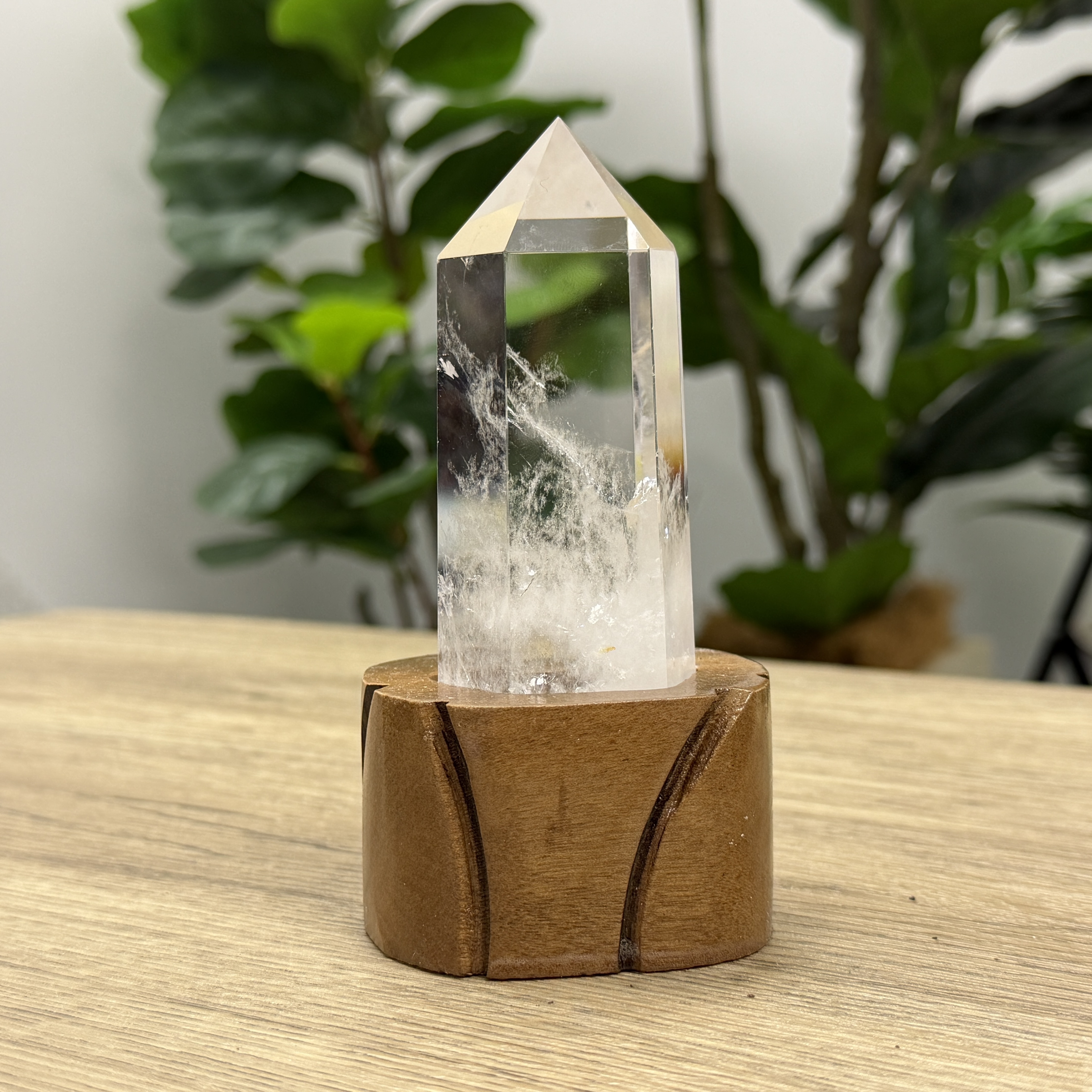 白晶柱 手圍12.5以上 WD2193