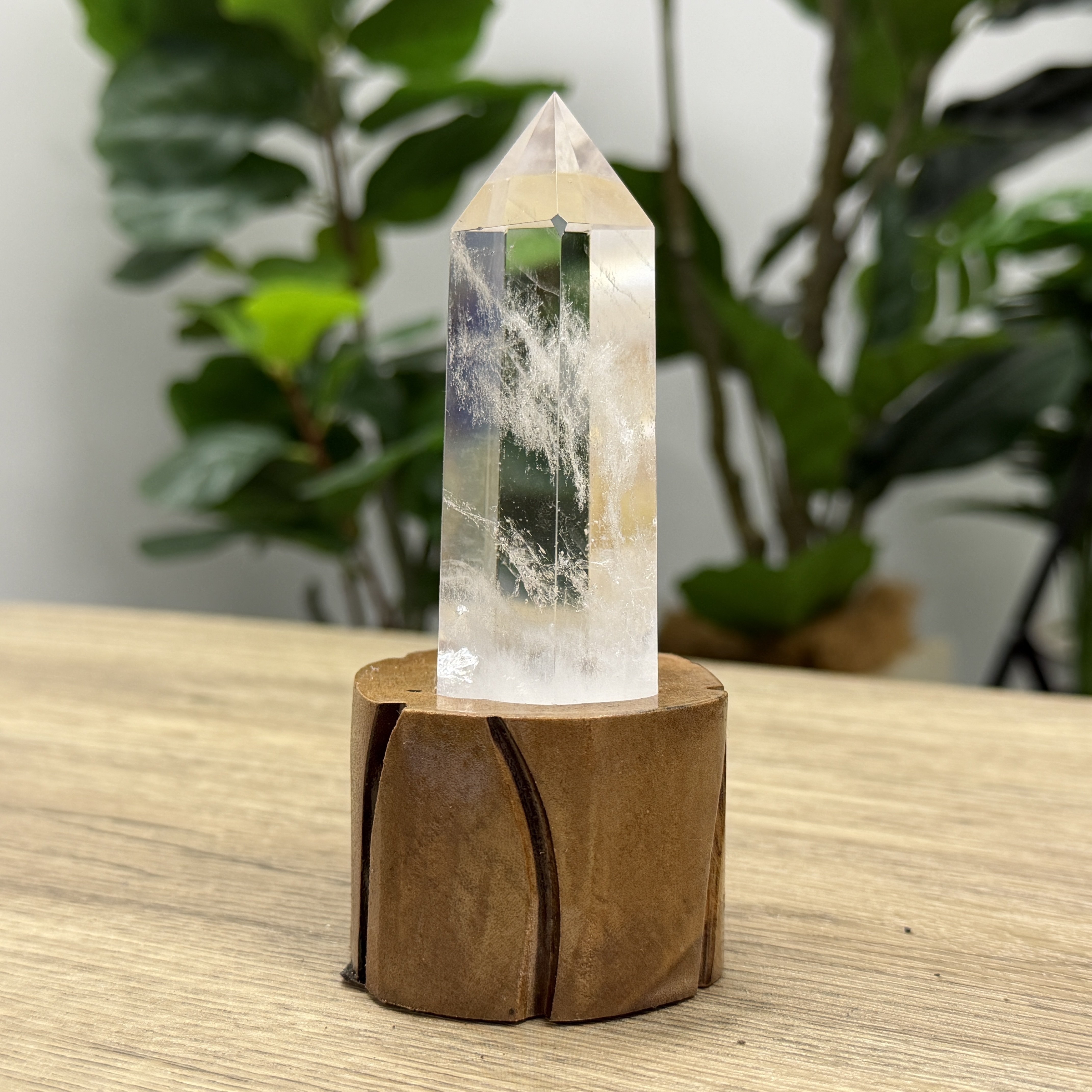 白晶柱 手圍13以上 WD2194