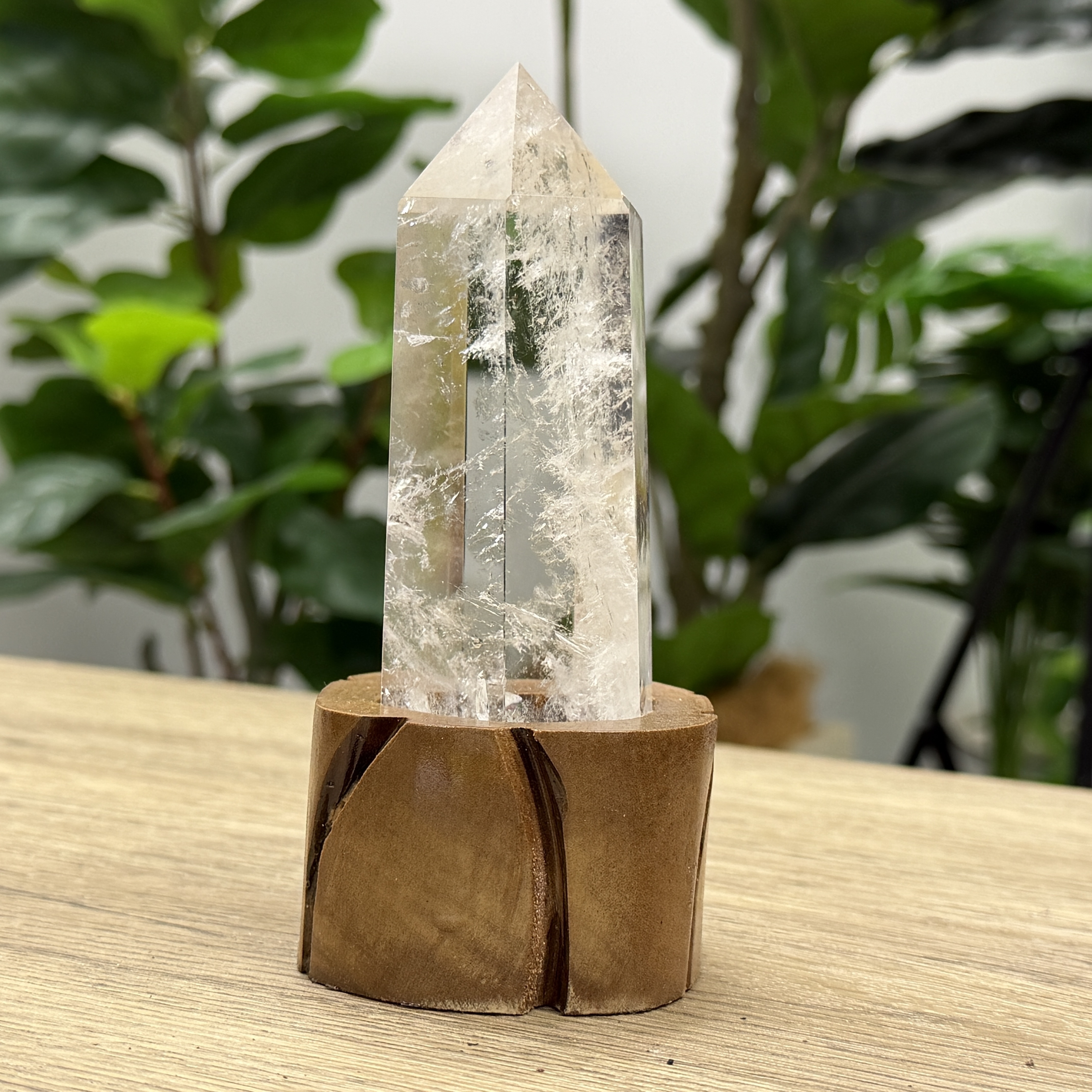 白晶柱 手圍15以上 WD2195