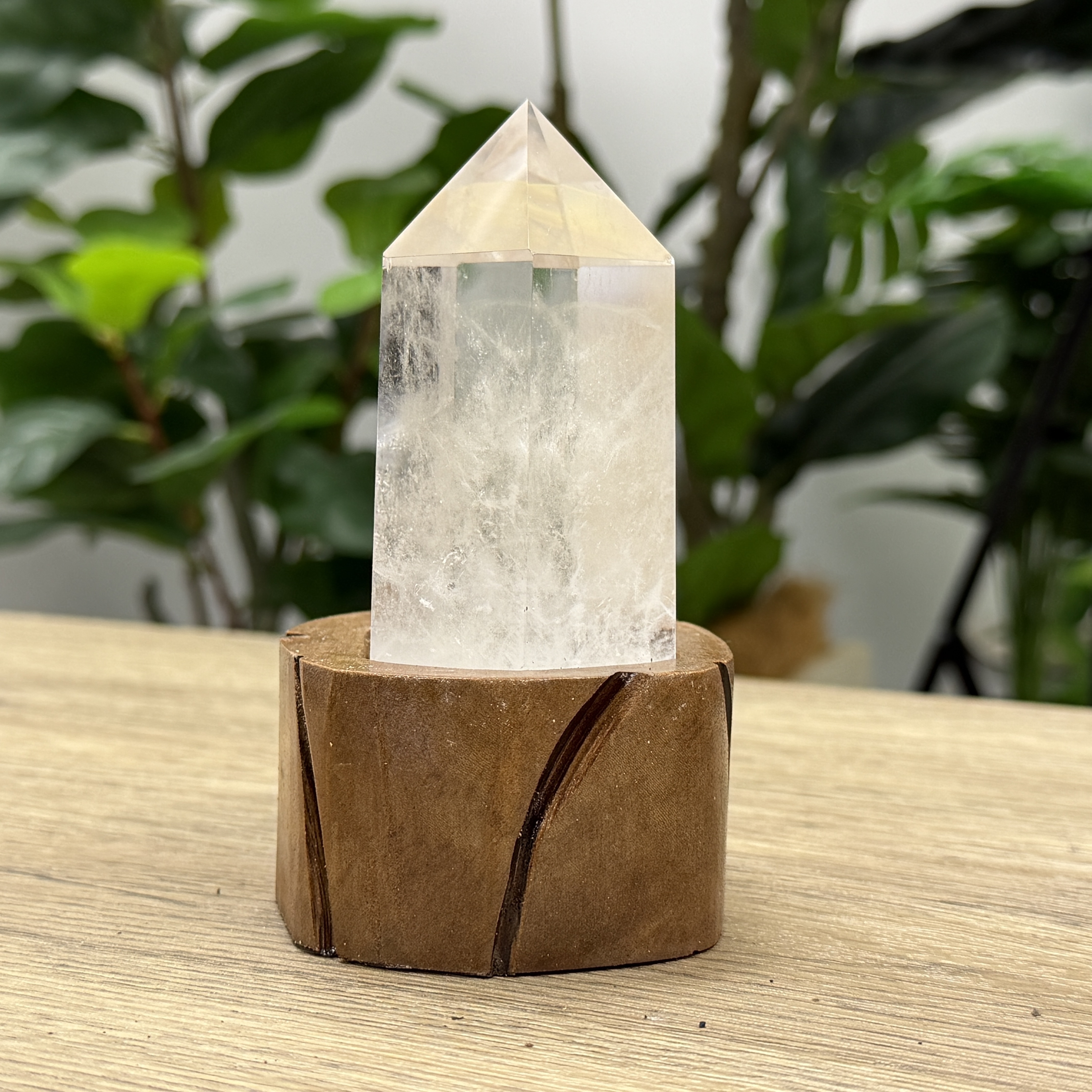 白晶柱 手圍17以上 WD2196