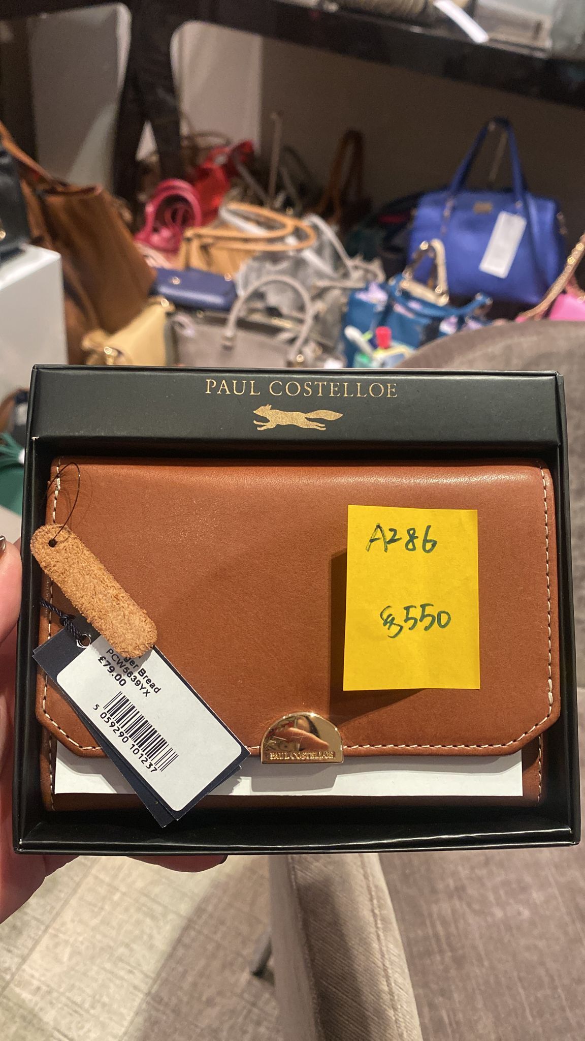 英國代購 -Paul Costelloe PCW5639