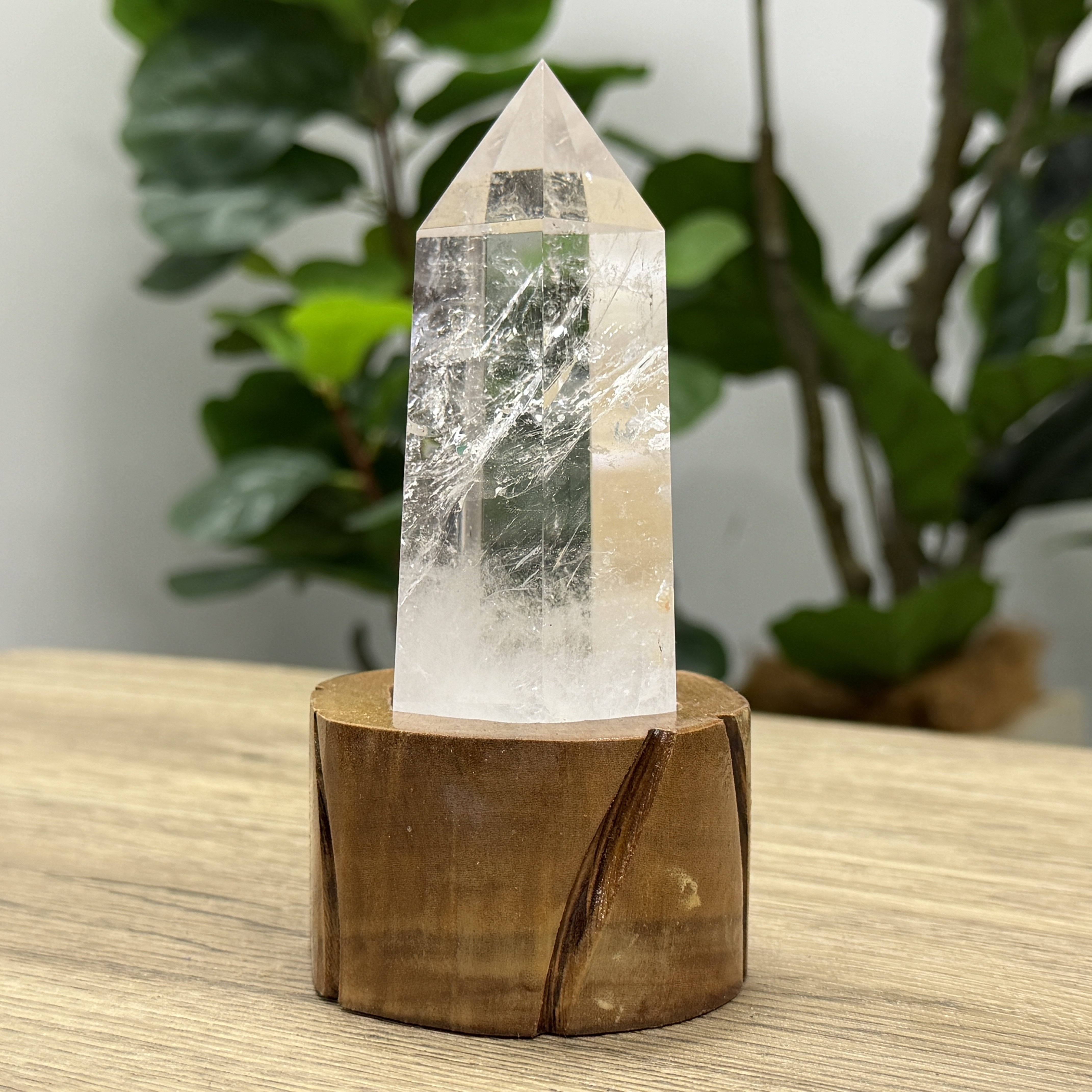 白晶柱 手圍16.5以上 WD2197