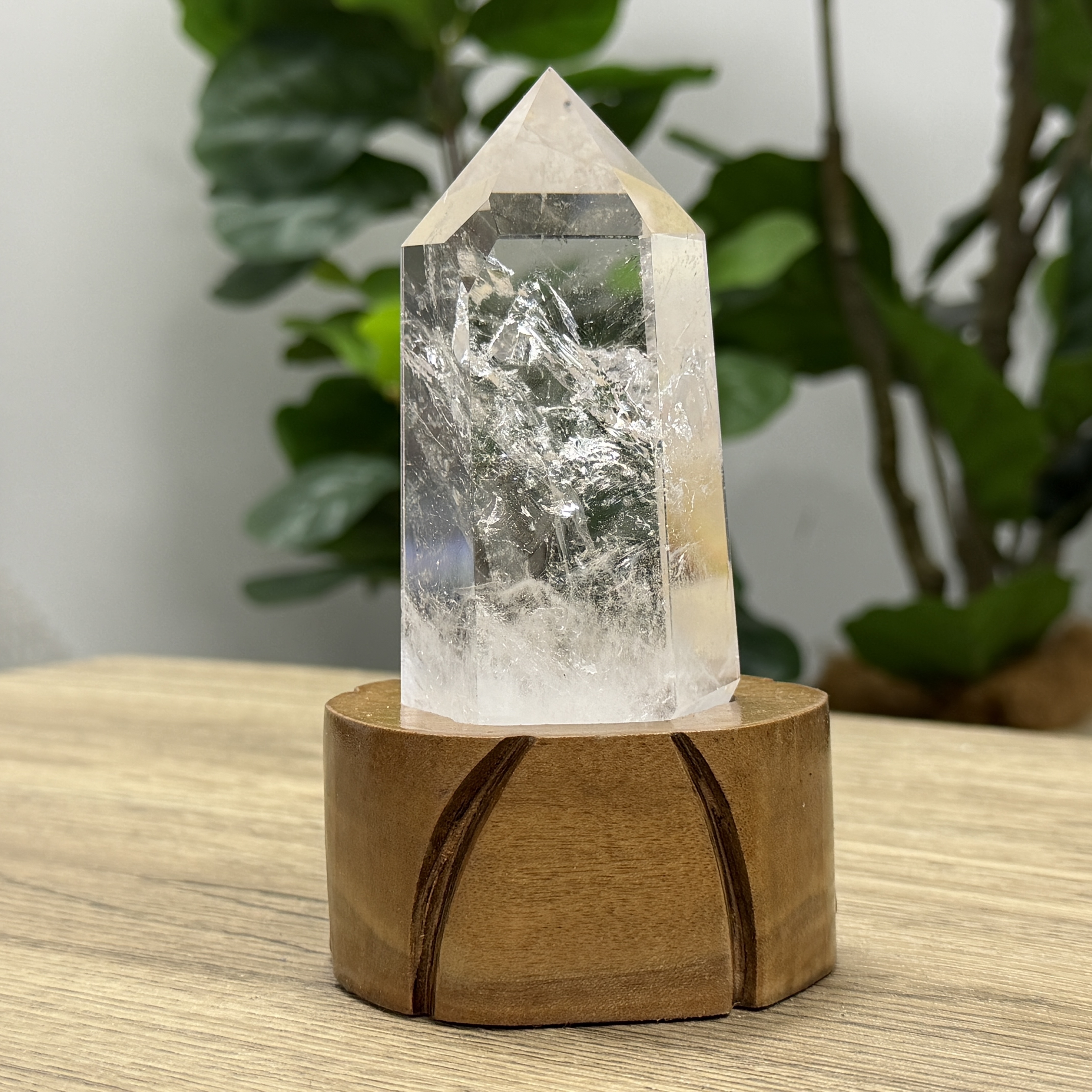 白晶柱 手圍16.5以上 WD2197