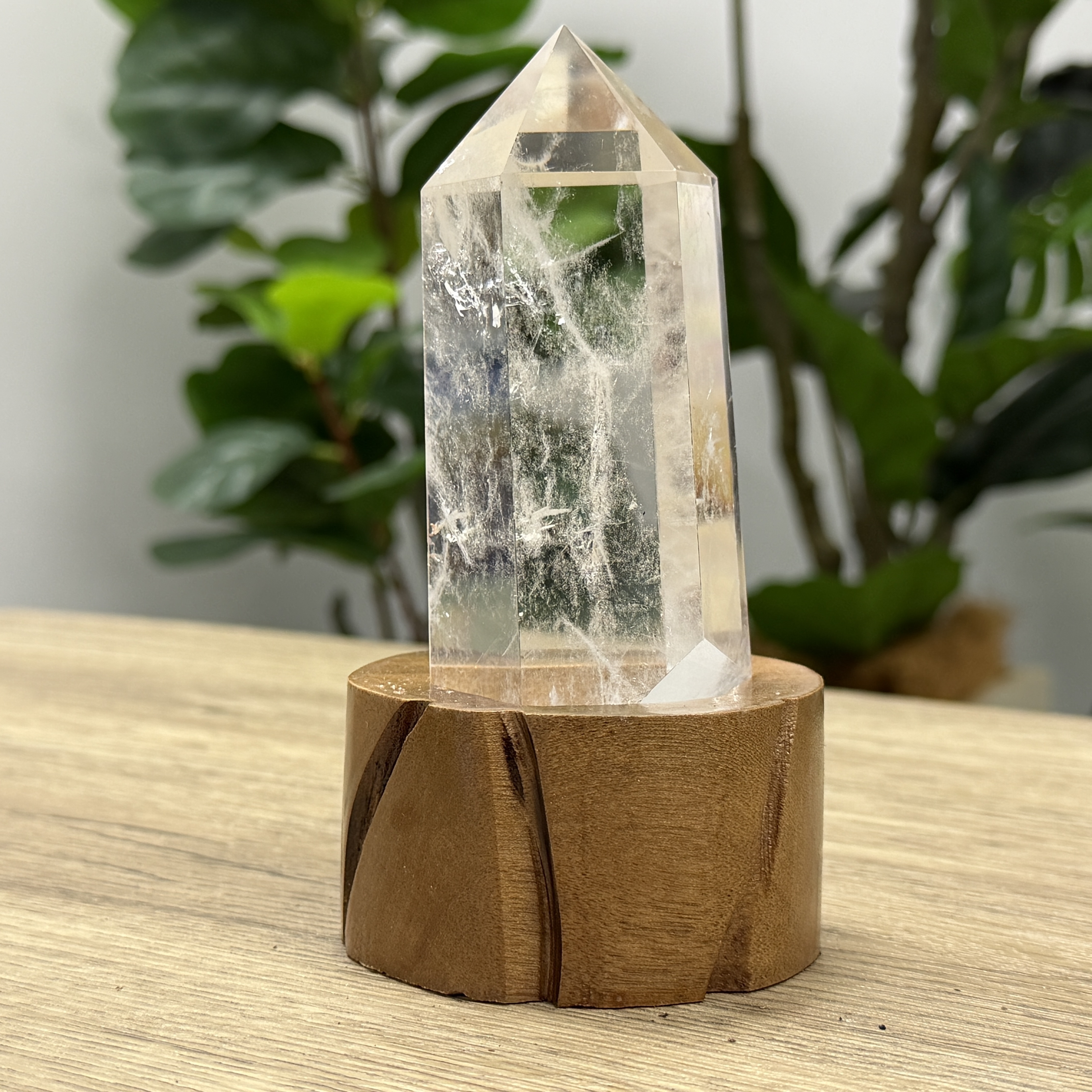 白晶柱 手圍15.5以上 WD2198