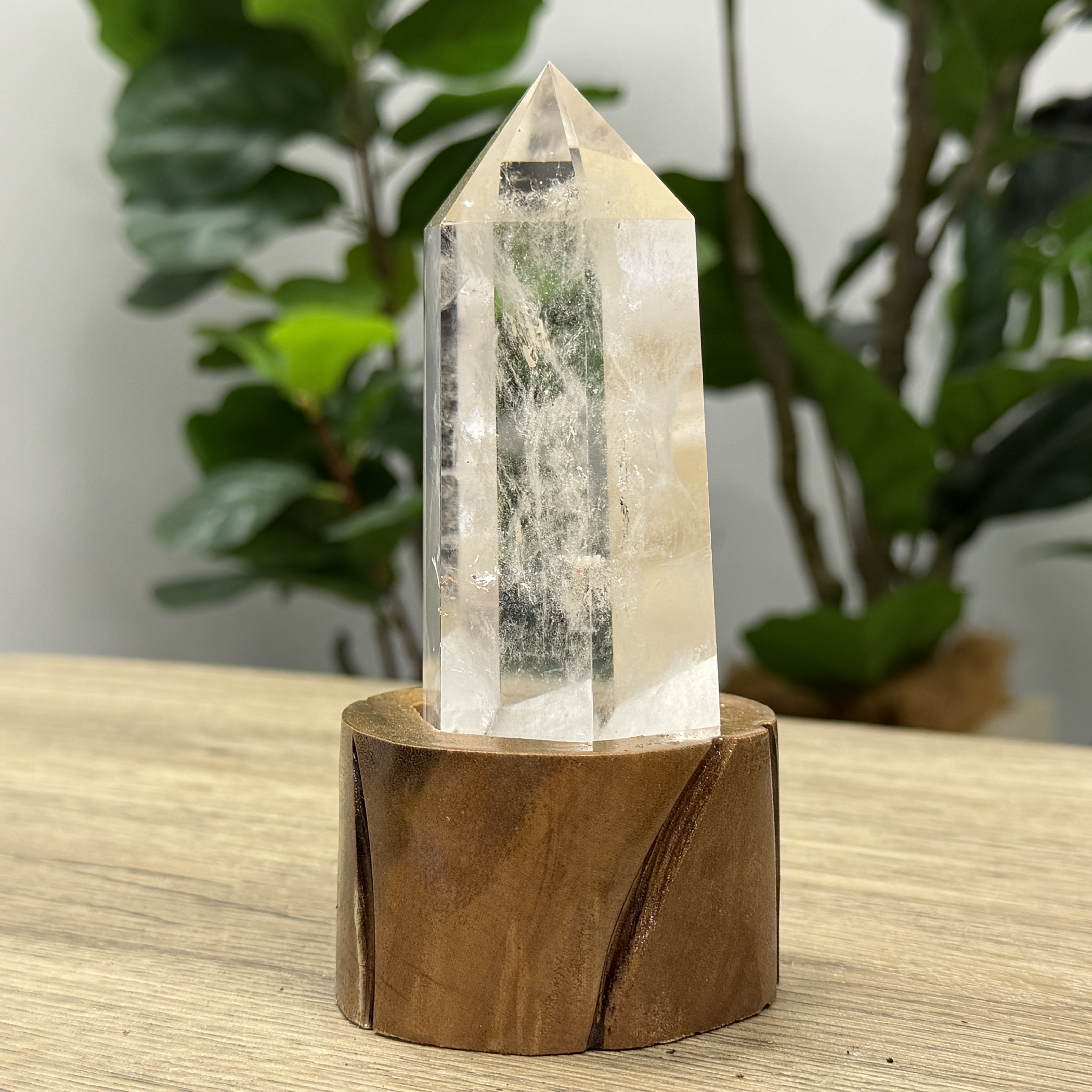 白晶柱 手圍15.5以上 WD2198