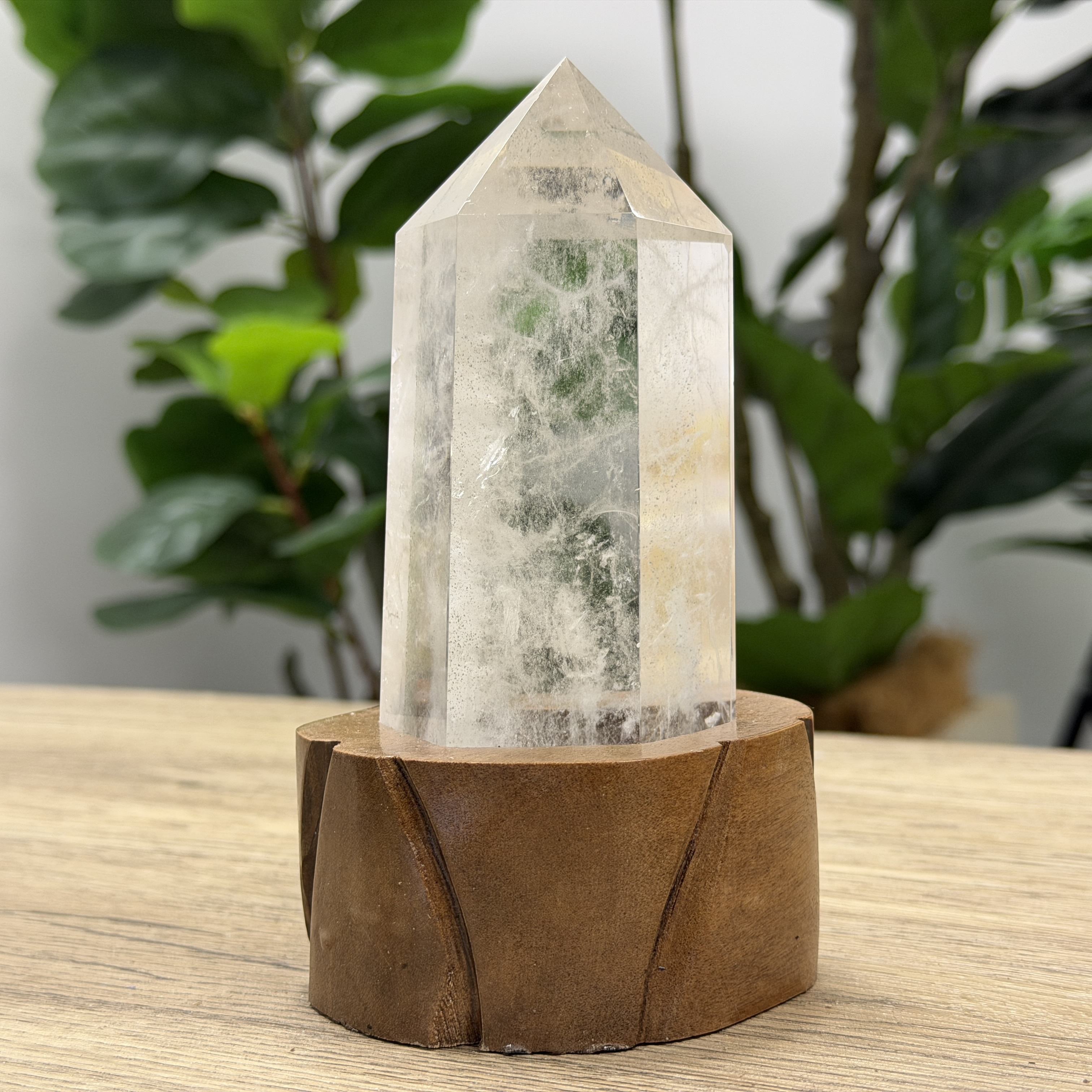 白晶柱 手圍17以上 WD2199