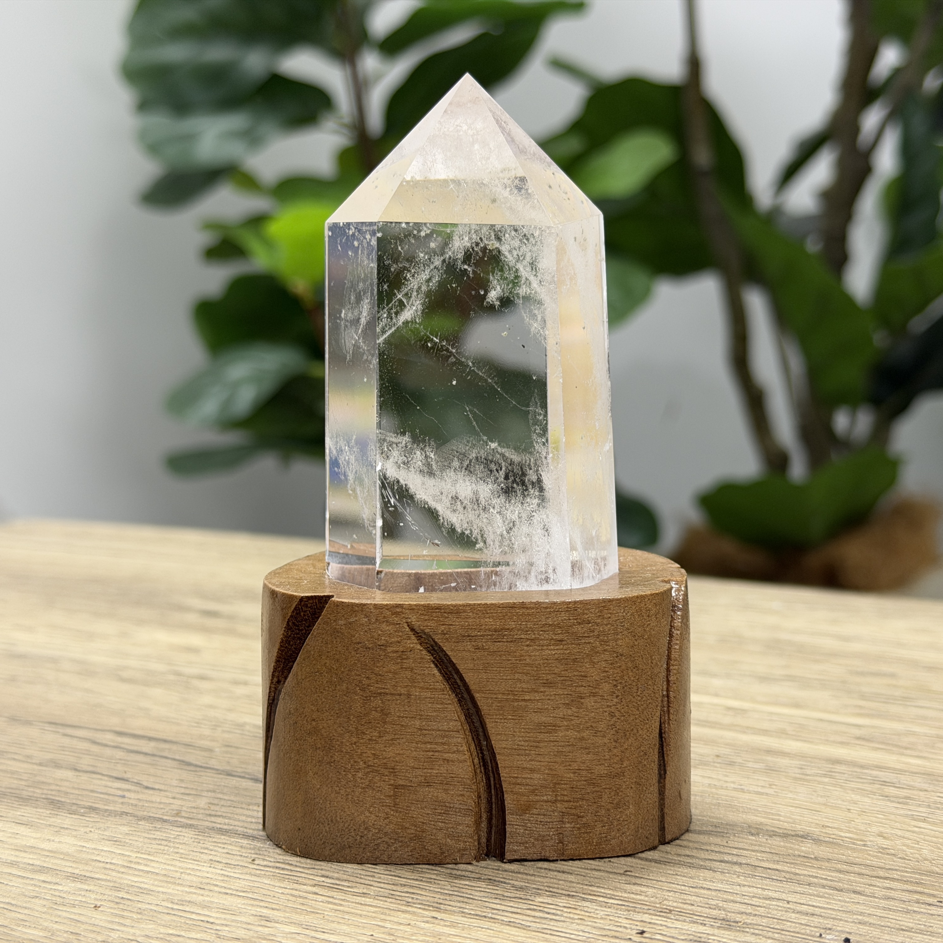 白晶柱 手圍14以上 WD2200