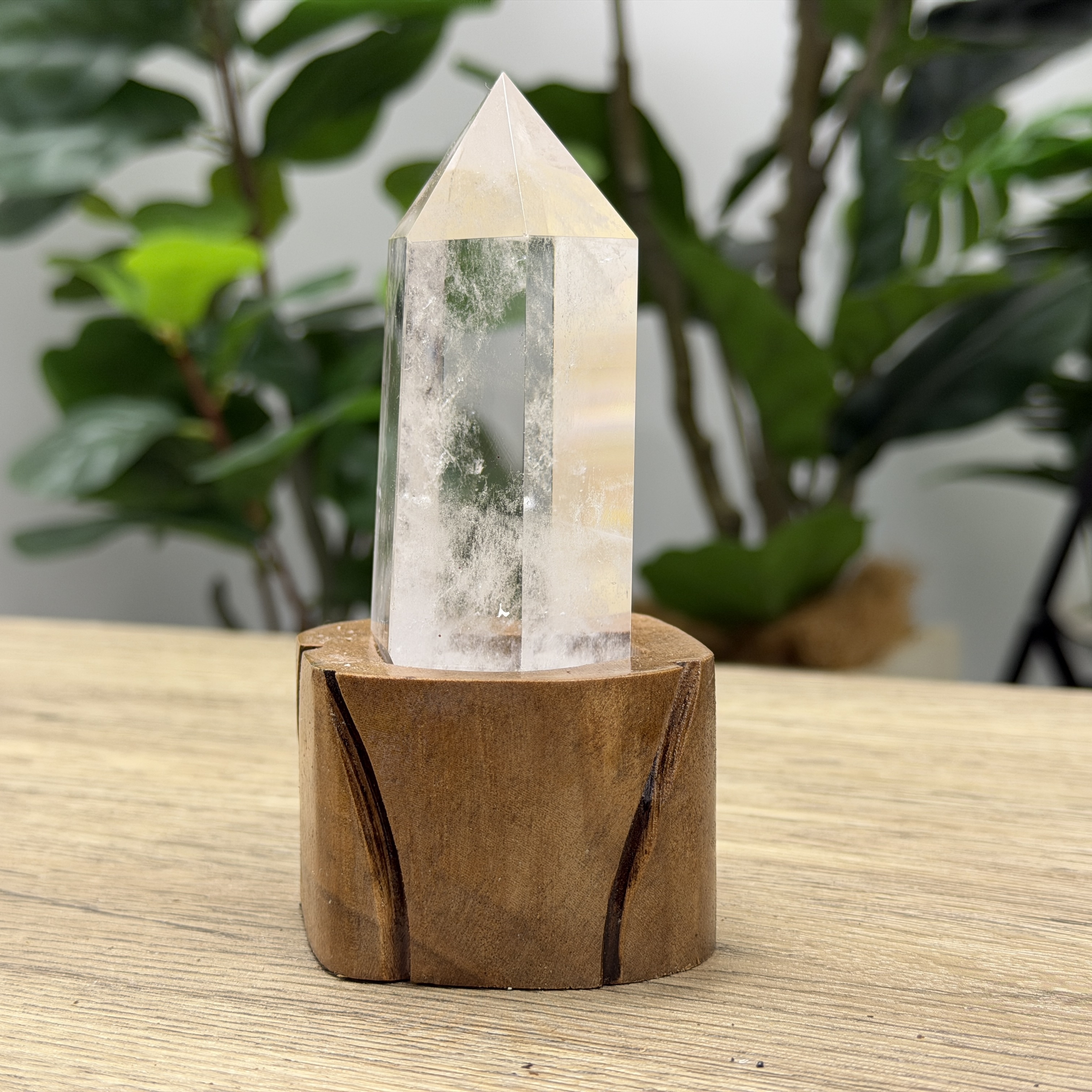 白晶柱 手圍14以上 WD2200