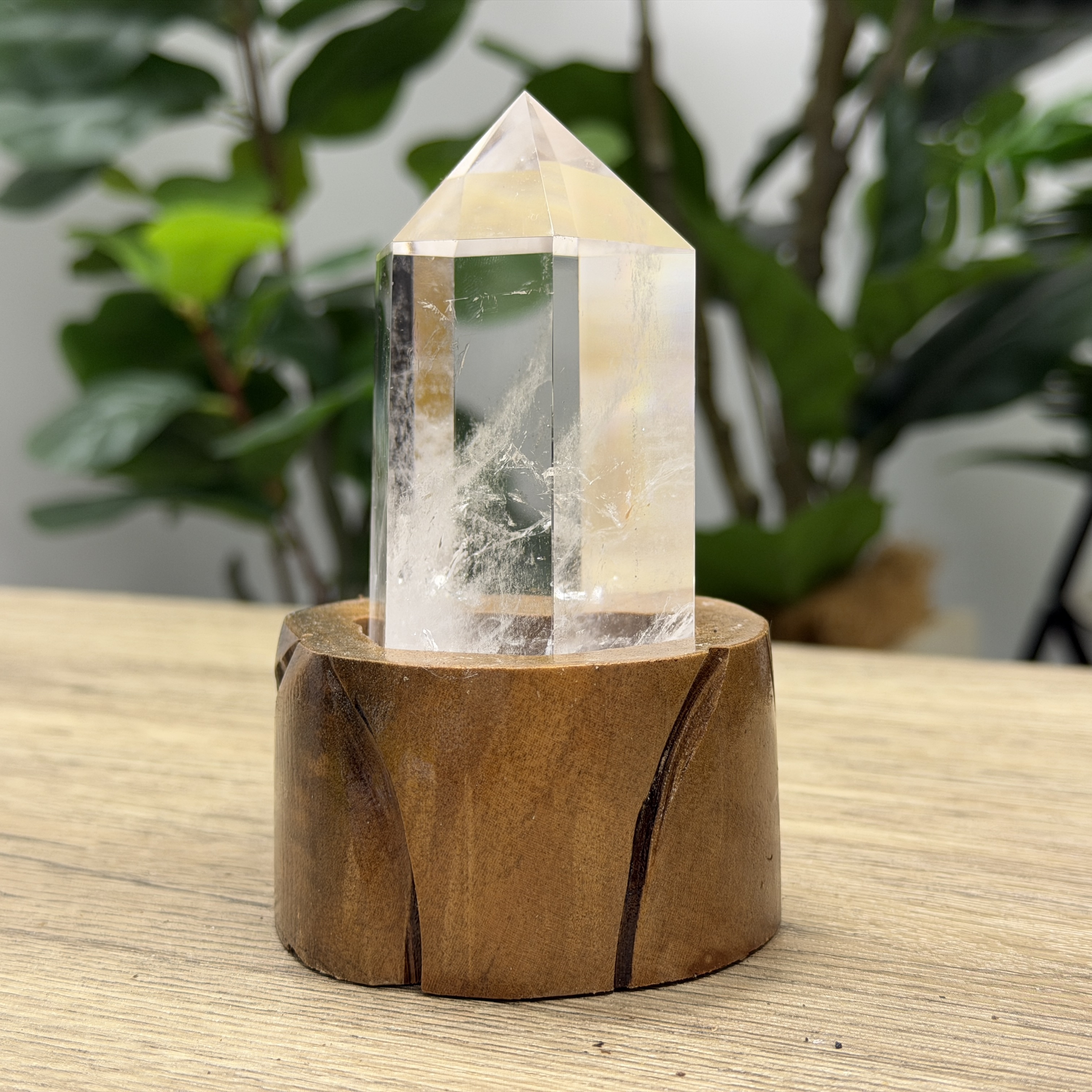 白晶柱 手圍15.5以上 WD2201