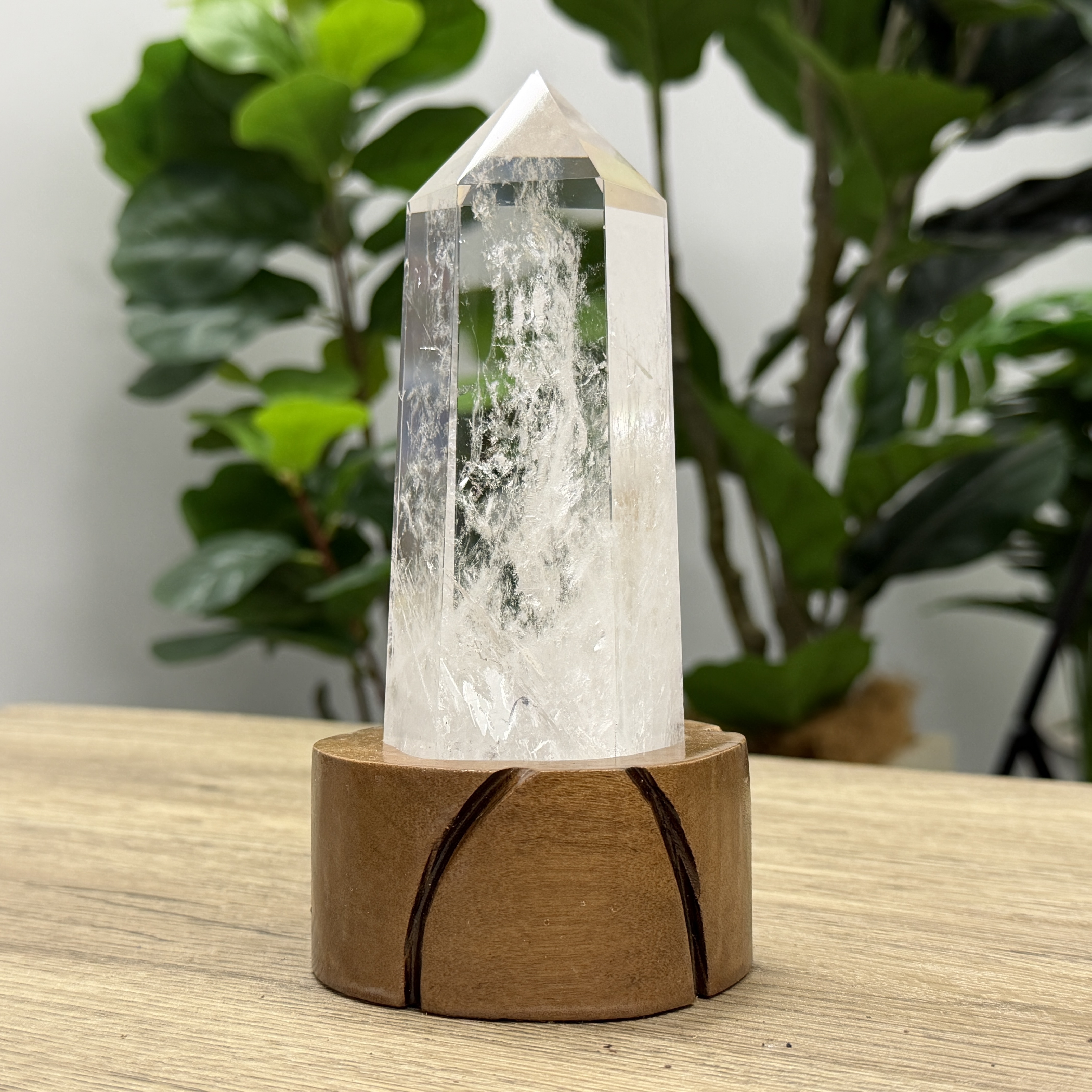 白晶柱 手圍16以上 WD2202