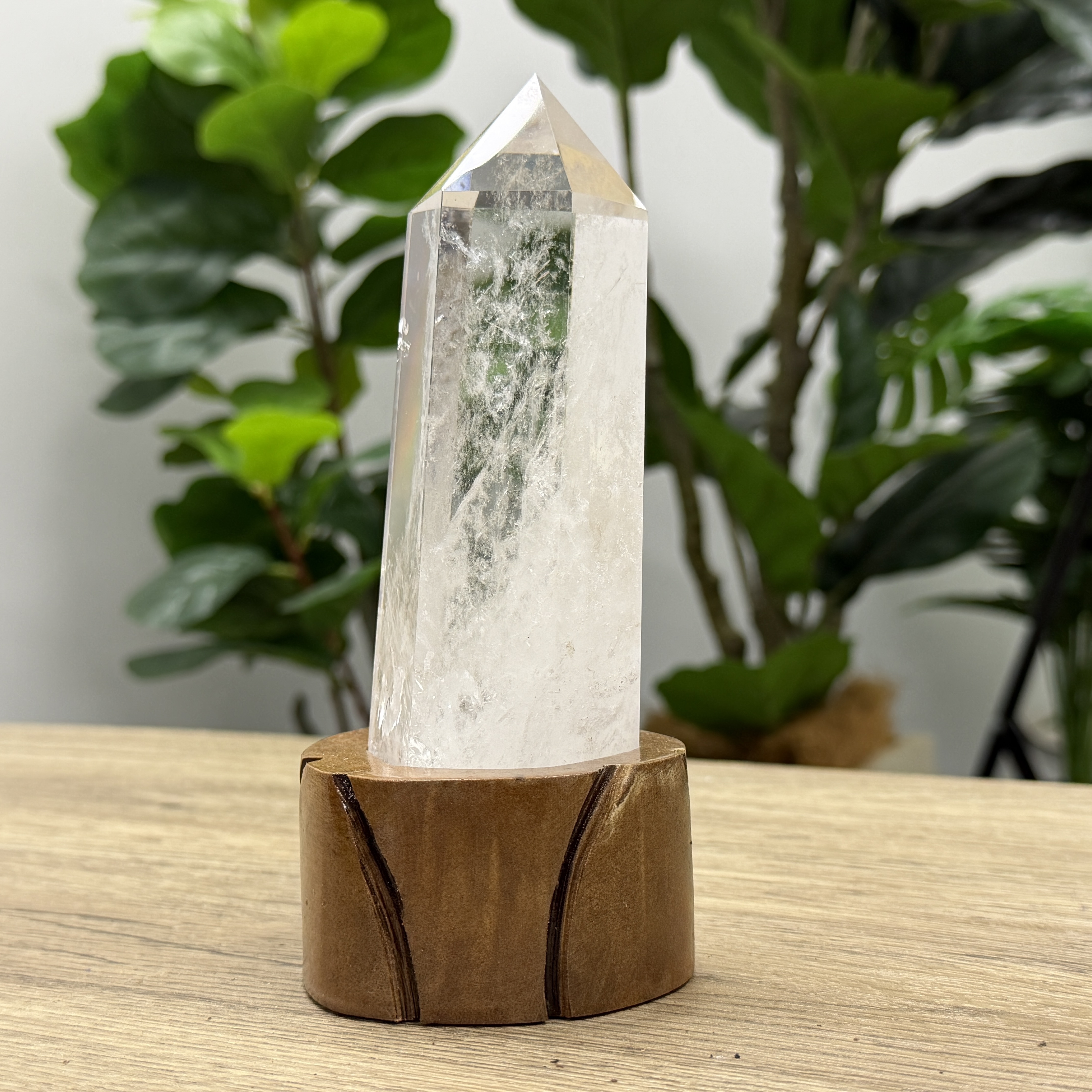 白晶柱 手圍16以上 WD2202