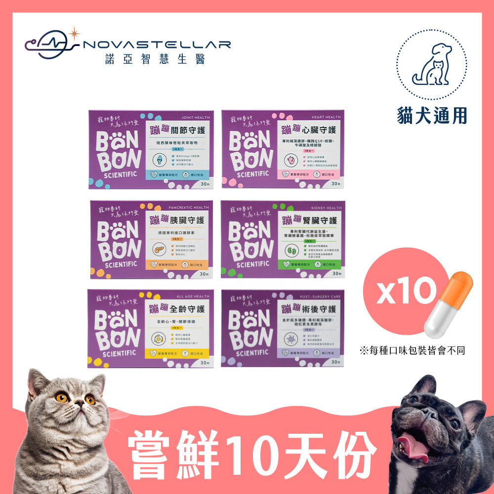 嘗鮮十天份