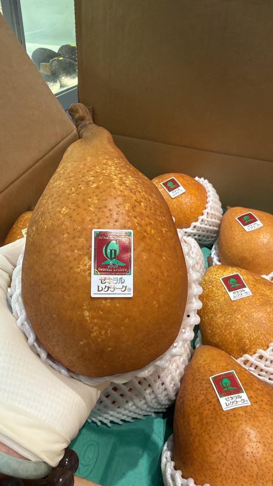 日本青森金啤梨