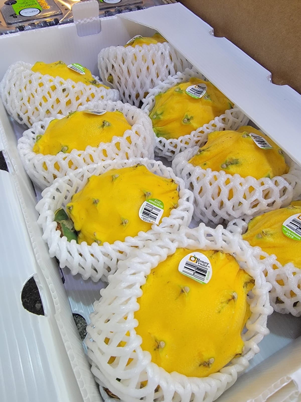 厄瓜多爾麒麟2個