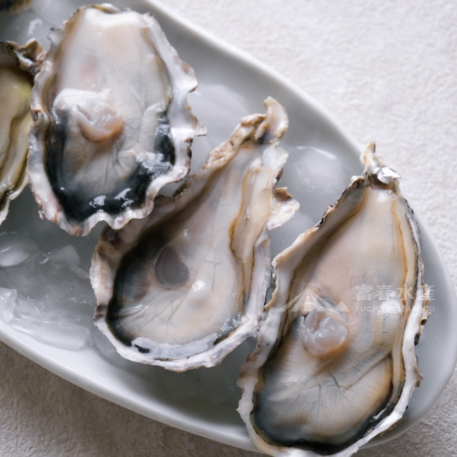 【日本廣島產-2L生食級生蠔】8顆裝