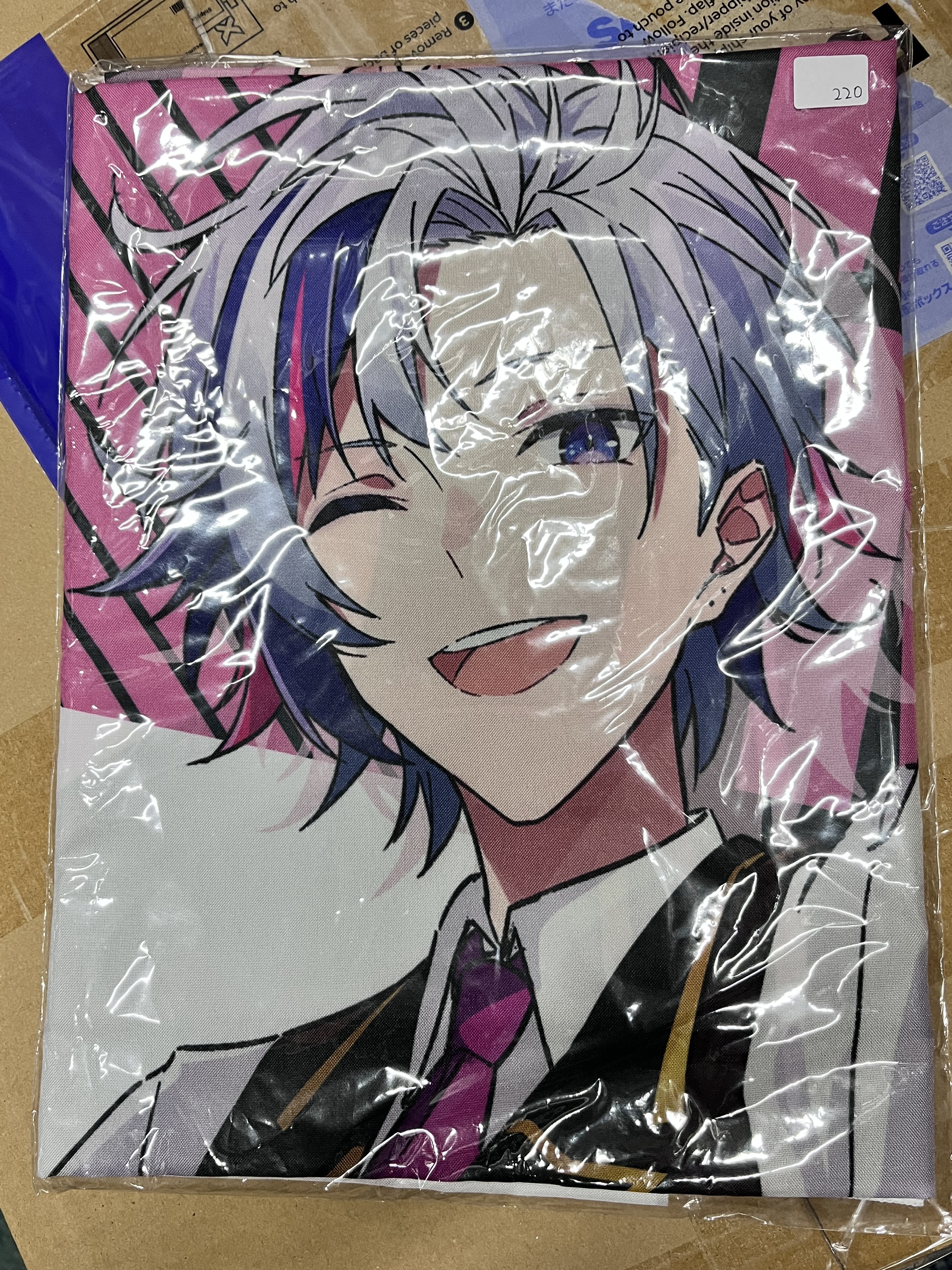 彩虹社 不破 掛布#354