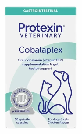 PROTEXIN Cobalaplex Vit B12, 葉酸, 益生元 (box)