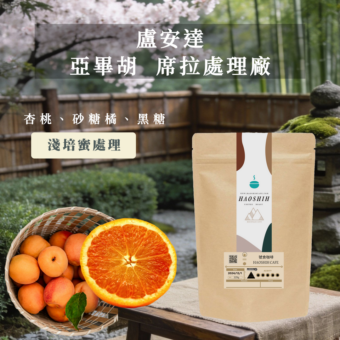 盧安達| 亞畢胡 |席拉處理廠|蜜處理