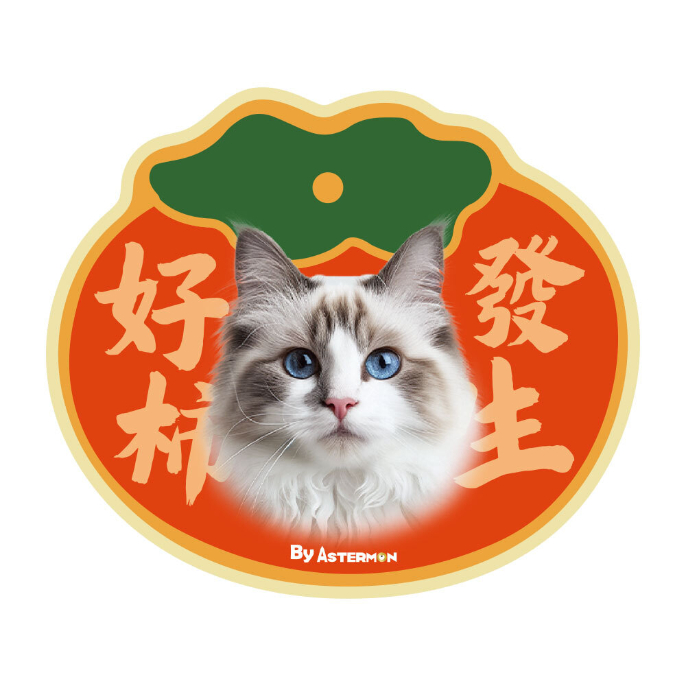 Smooth sailing（New Year carpet）